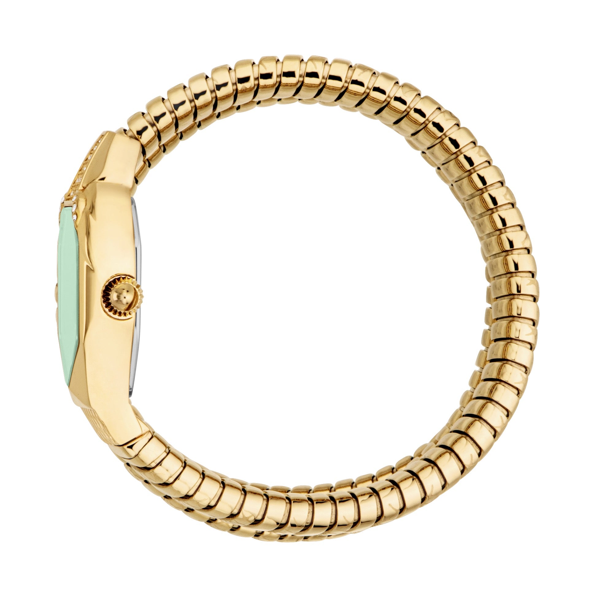 Ladies Ambra Watch (JC1L370M0035)