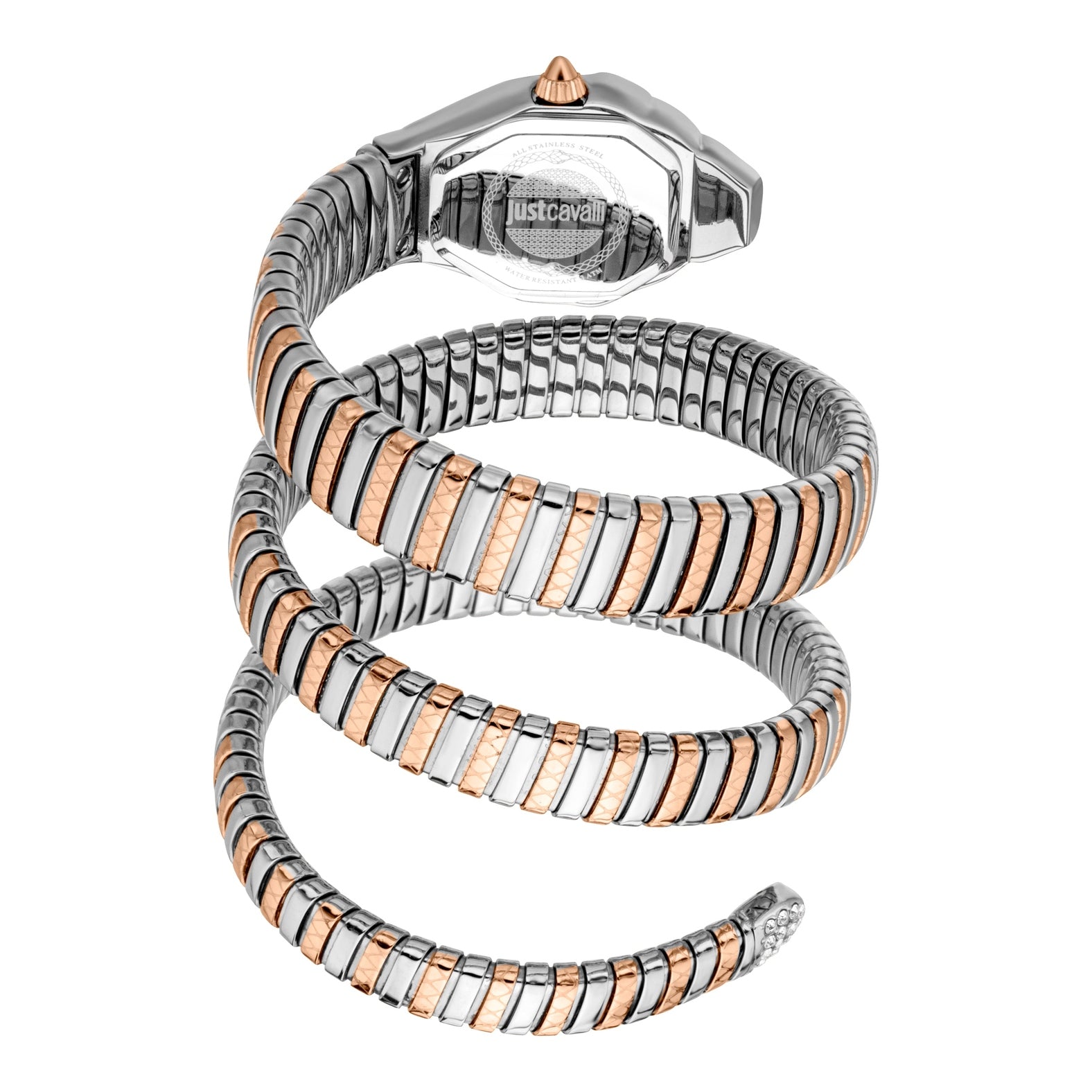 Ladies Ambra Watch (JC1L370M0065)