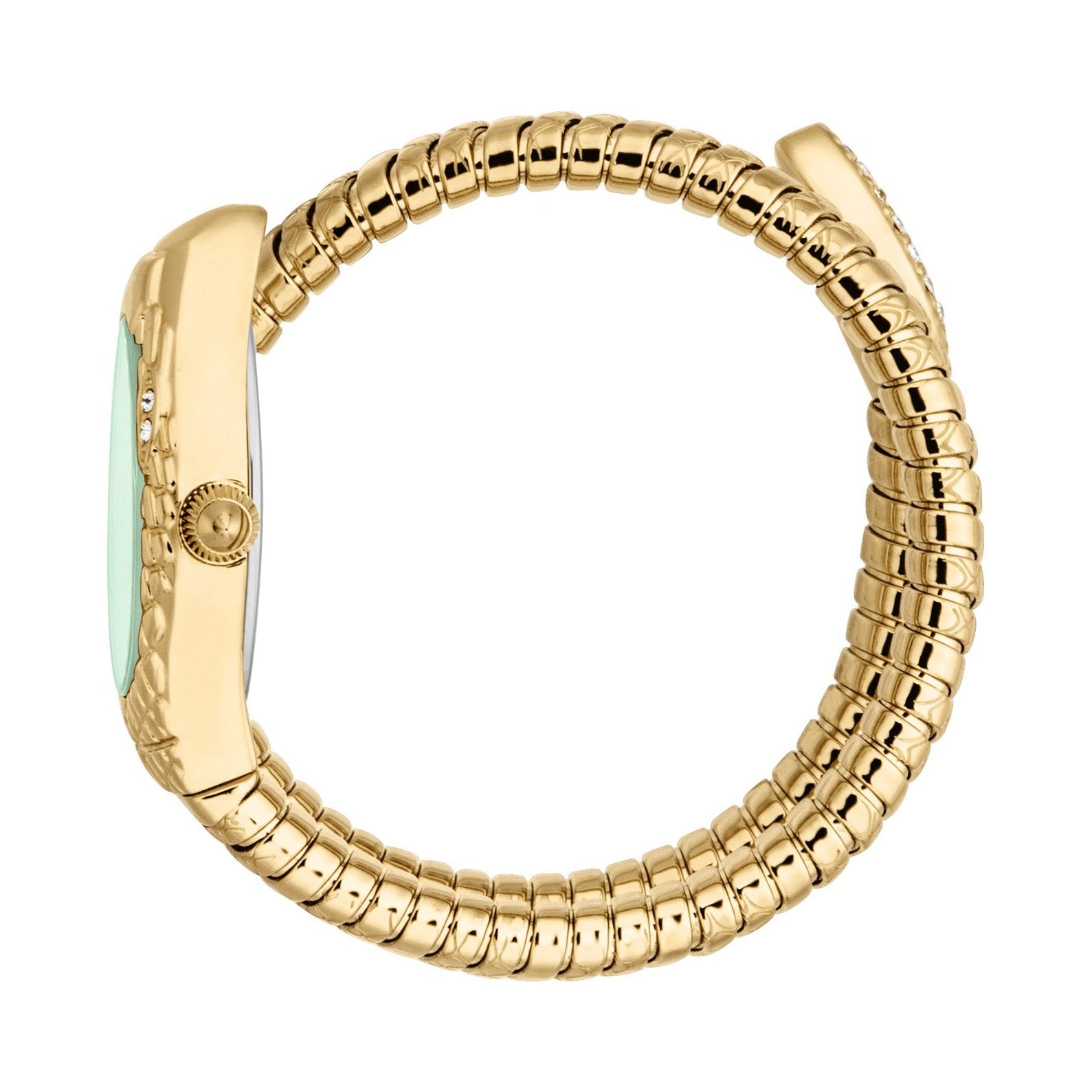 Ladies Vetra Watch (JC1L373M0035)