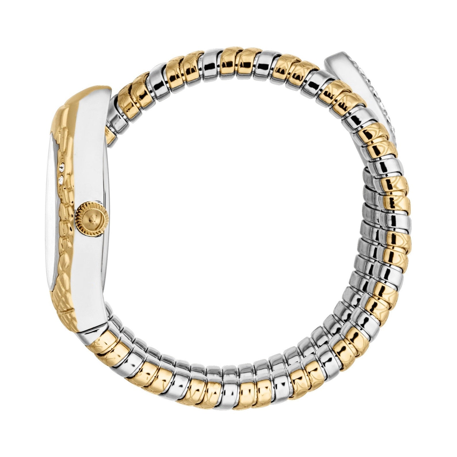 Ladies Vetra Watch (JC1L373M0055)