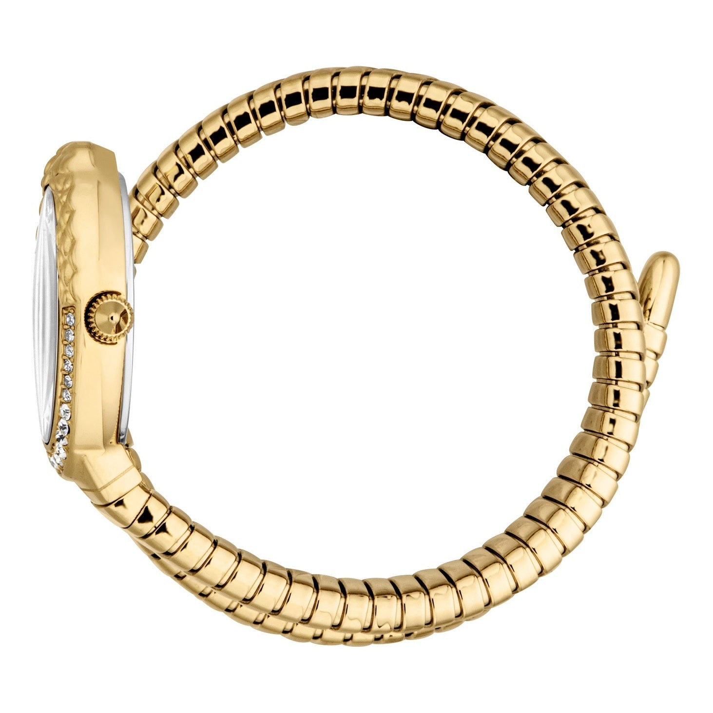 Ladies Fiore Watch (JC1L390M0025)