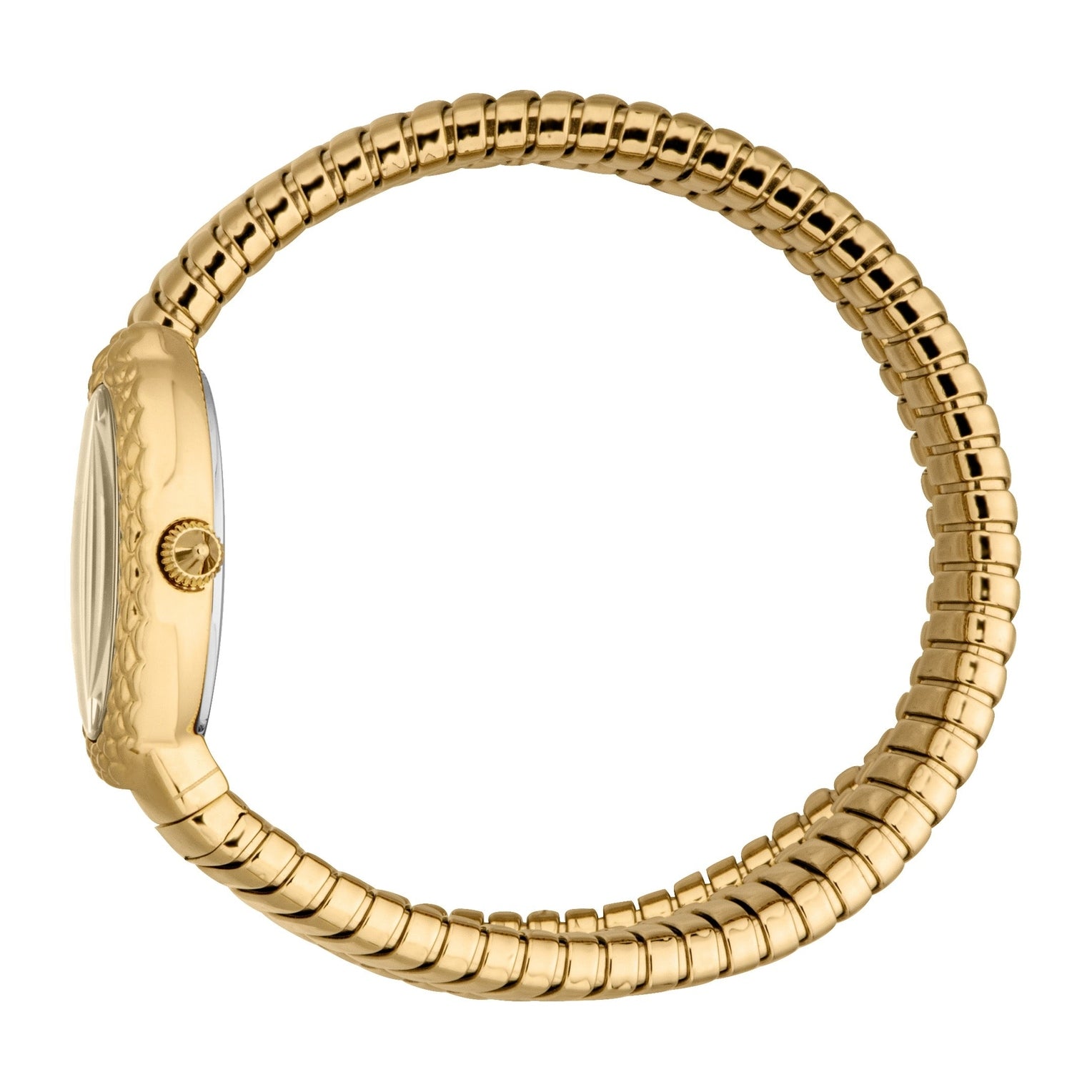 Ladies Sognia Watch (JC1L391M0025)