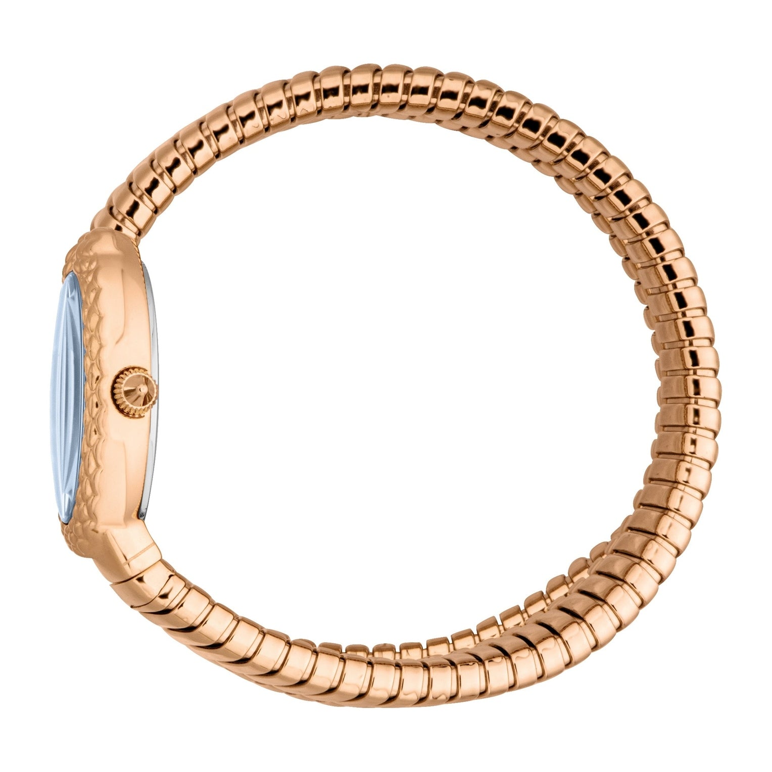 Ladies Sognia Watch (JC1L391M0035)