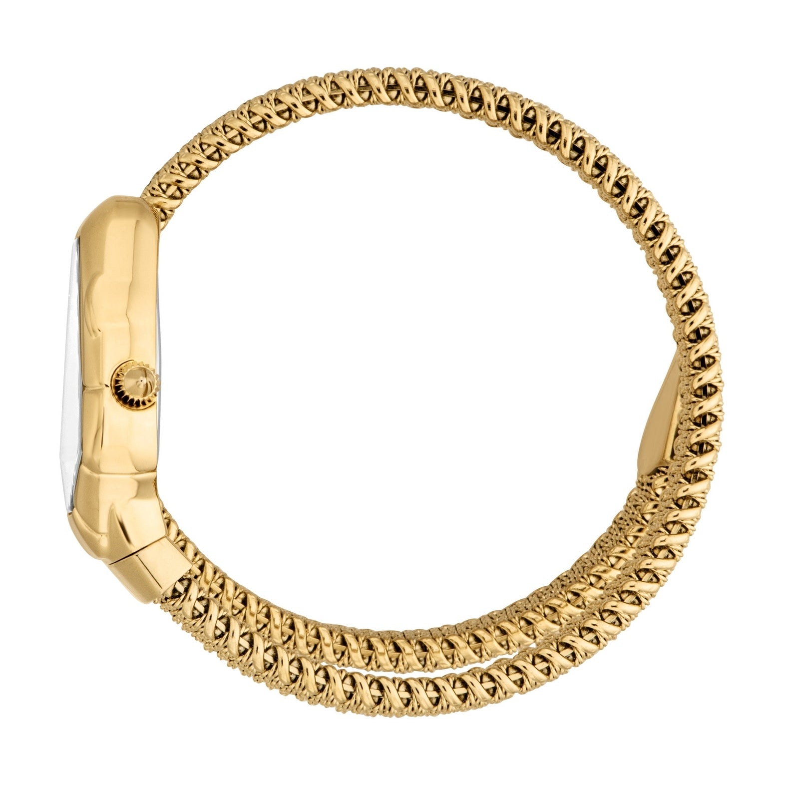 Ladies Fiamma Watch (JC1L426M0025)