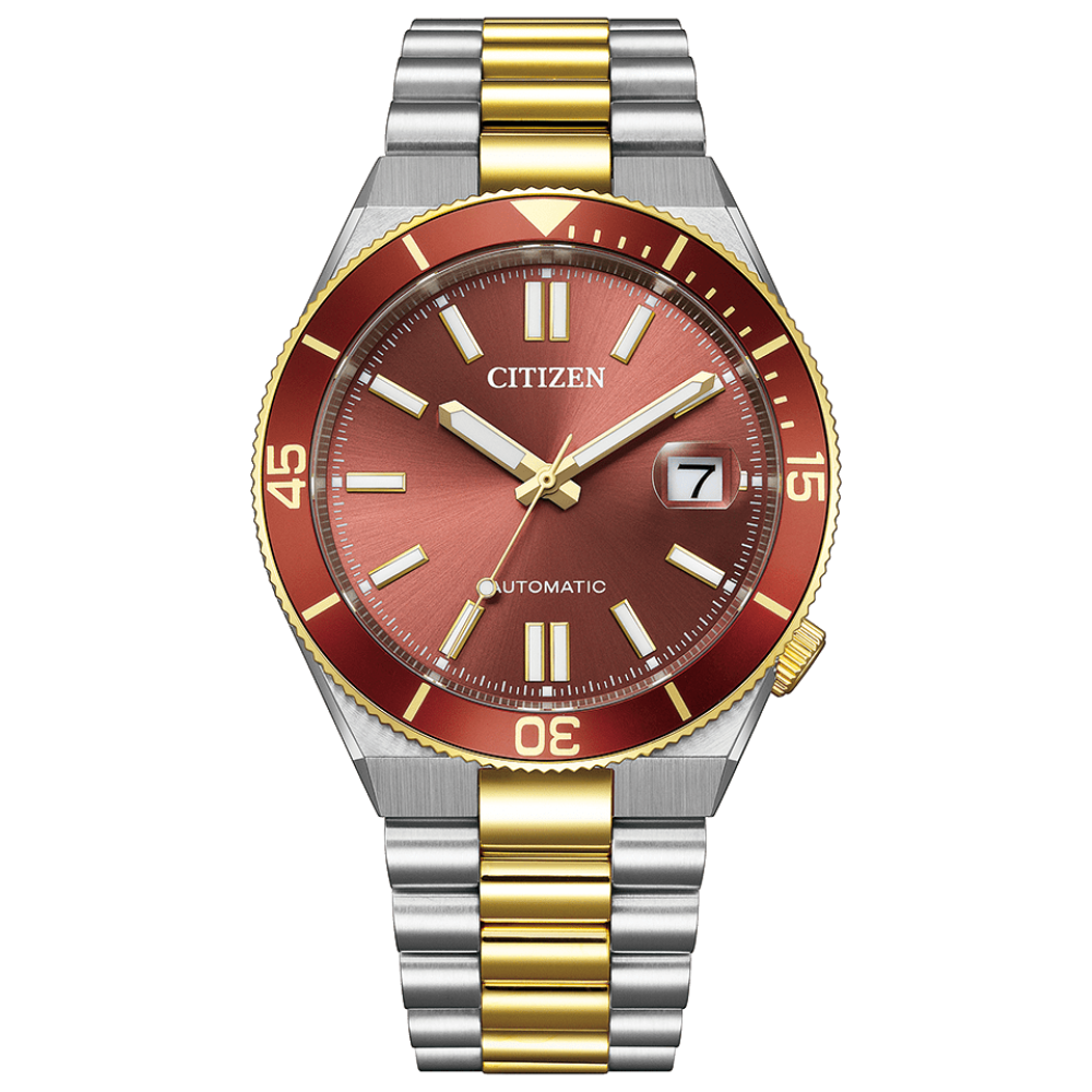Men's Mechanical Watch (NJ0234-58X)