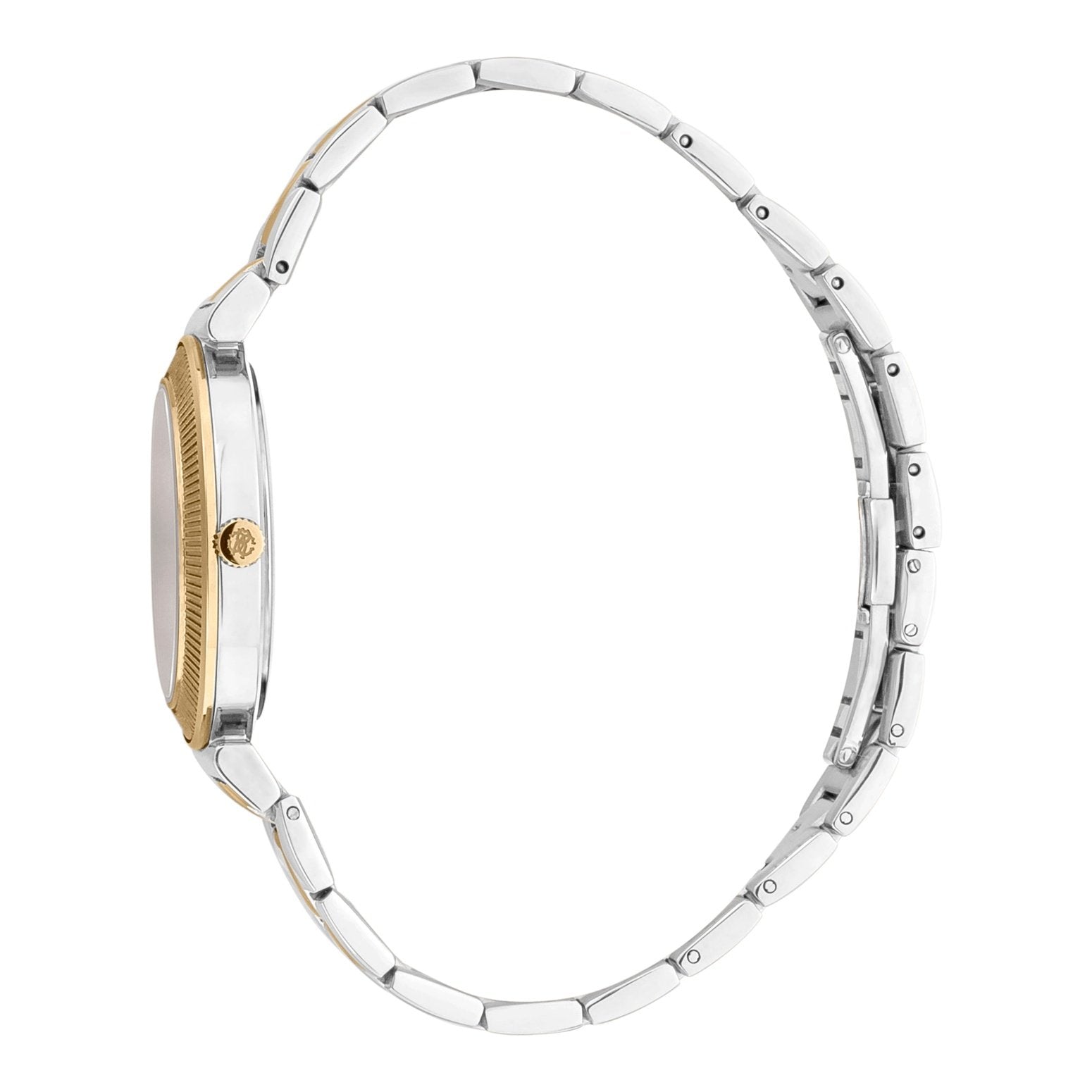 Ladies Immagine Watch (RC5L004M0085)