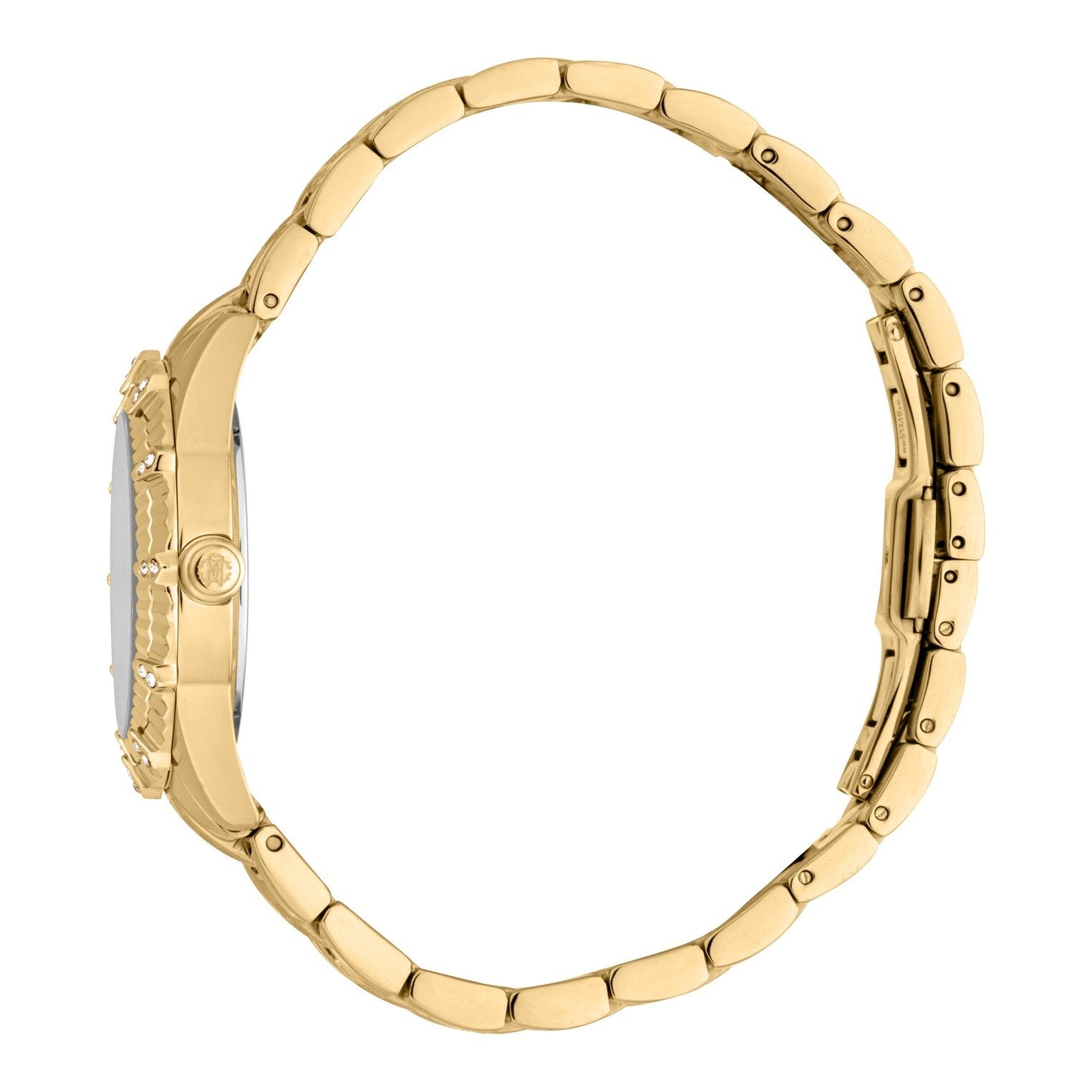 Ladies Allegria Watch (RC5L083M0025)