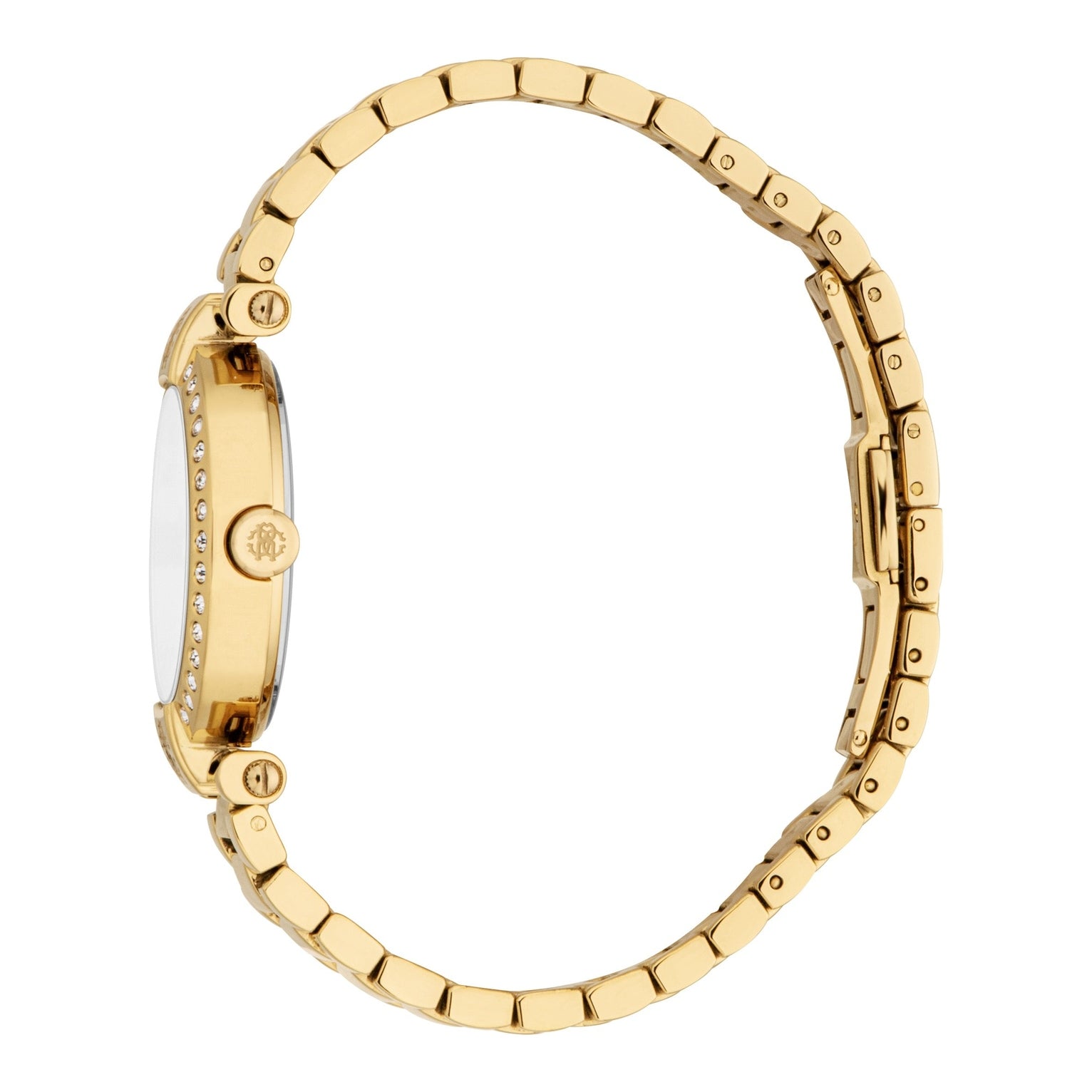 Ladies Delizia Watch (RC5L121M0055)