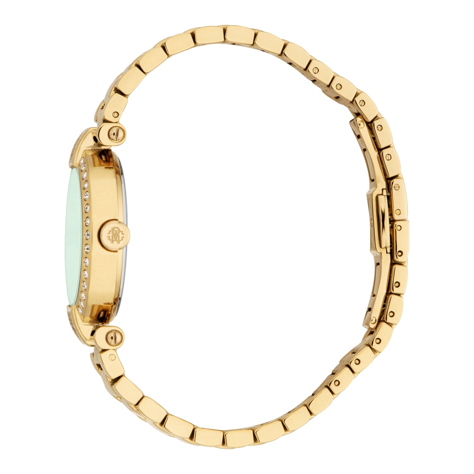 Ladies Delizia Watch (RC5L121M0065)
