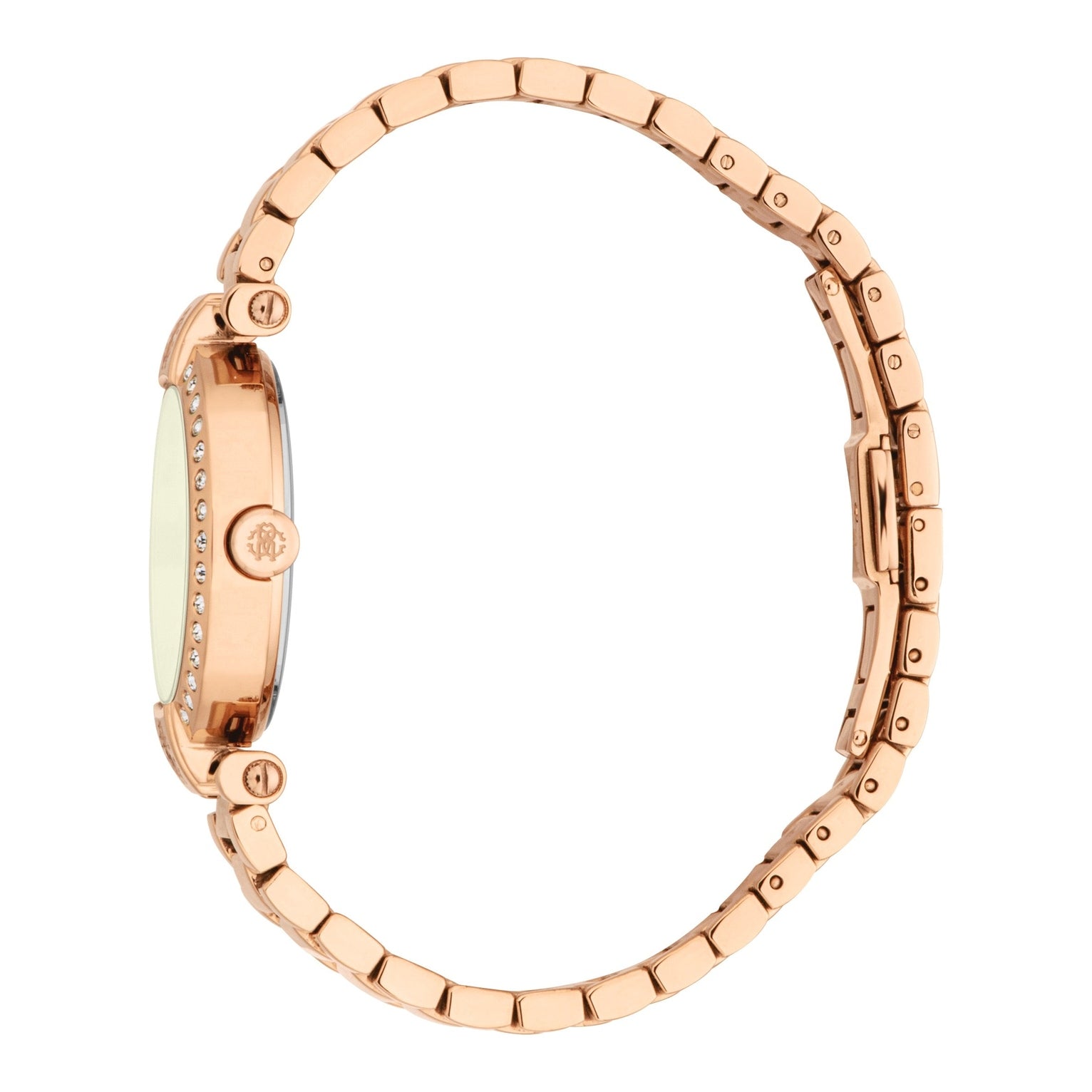 Ladies Delizia Watch (RC5L121M0075)