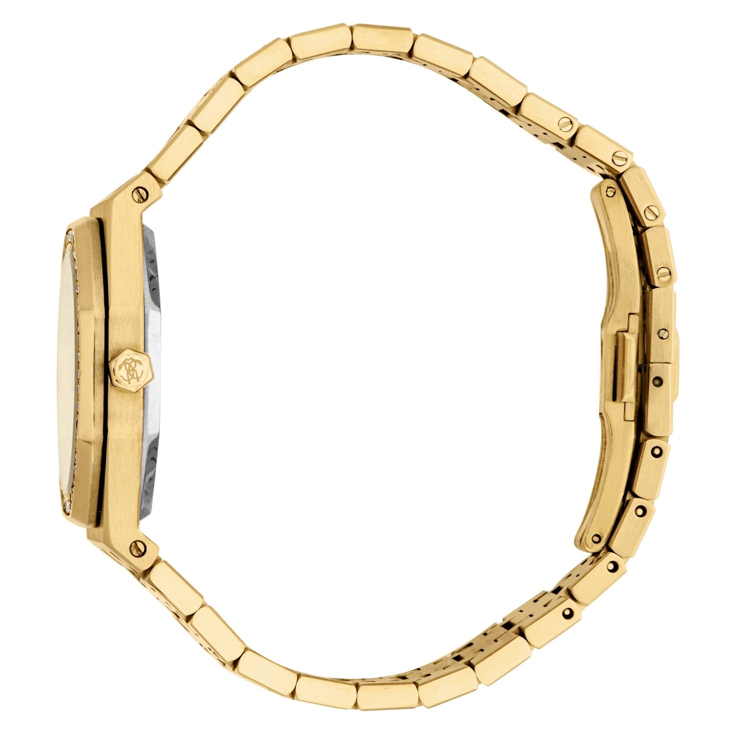 Ladies Astrina Watch (RC5L159M0055)