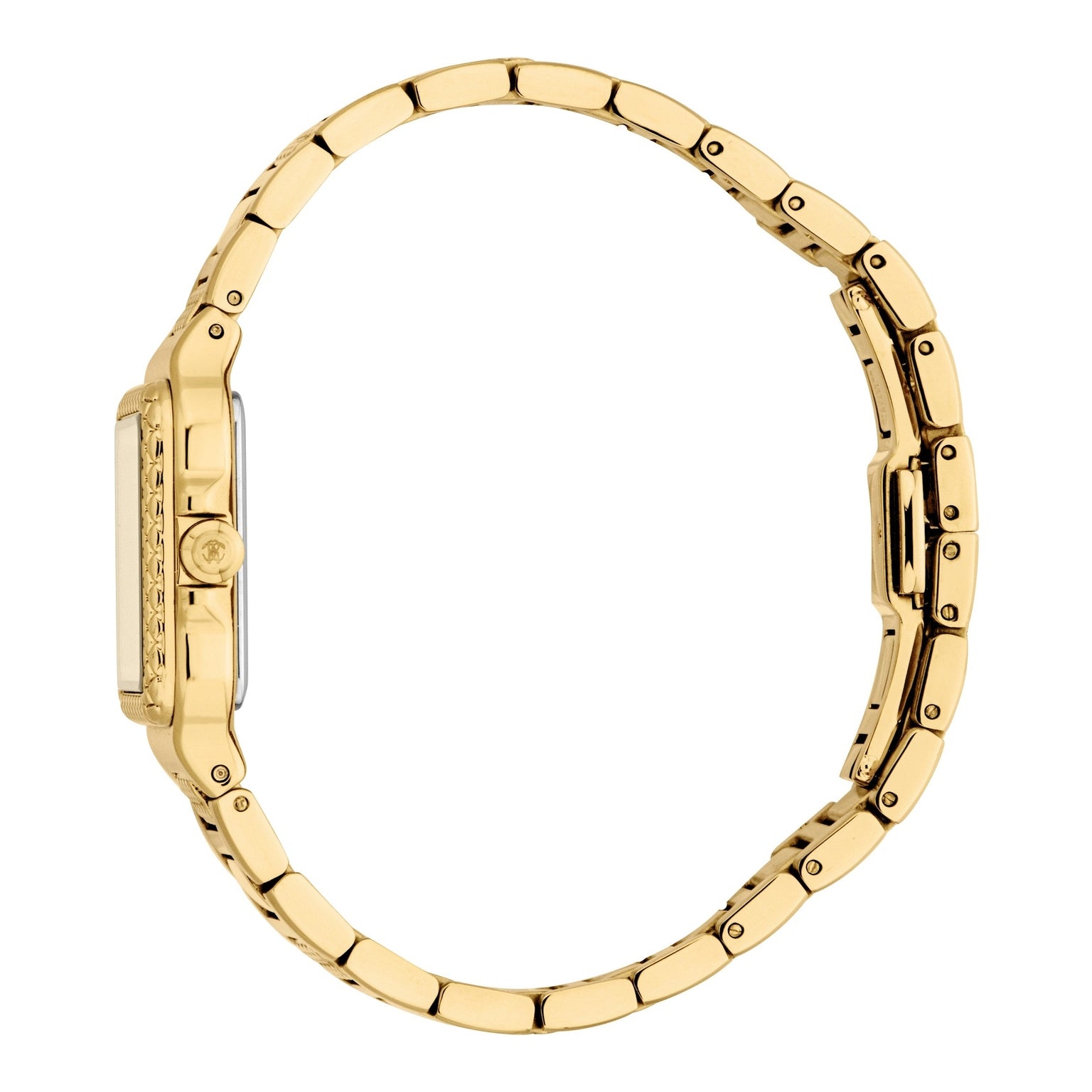 Ladies Lucerna Watch (RC5L170M0035)