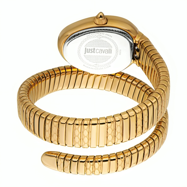 Ladies Aversa Watch (JC1L222M0025)