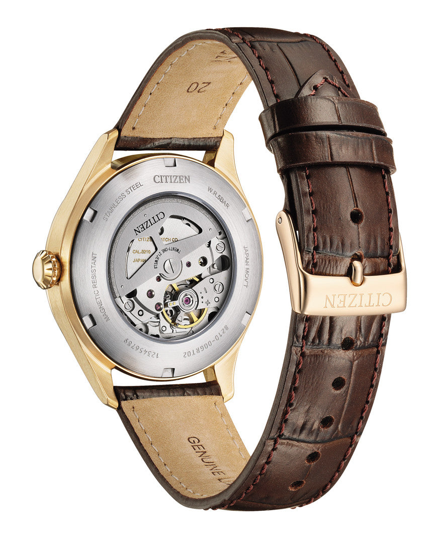Men's Mechanical Watch (NJ0243-06A)