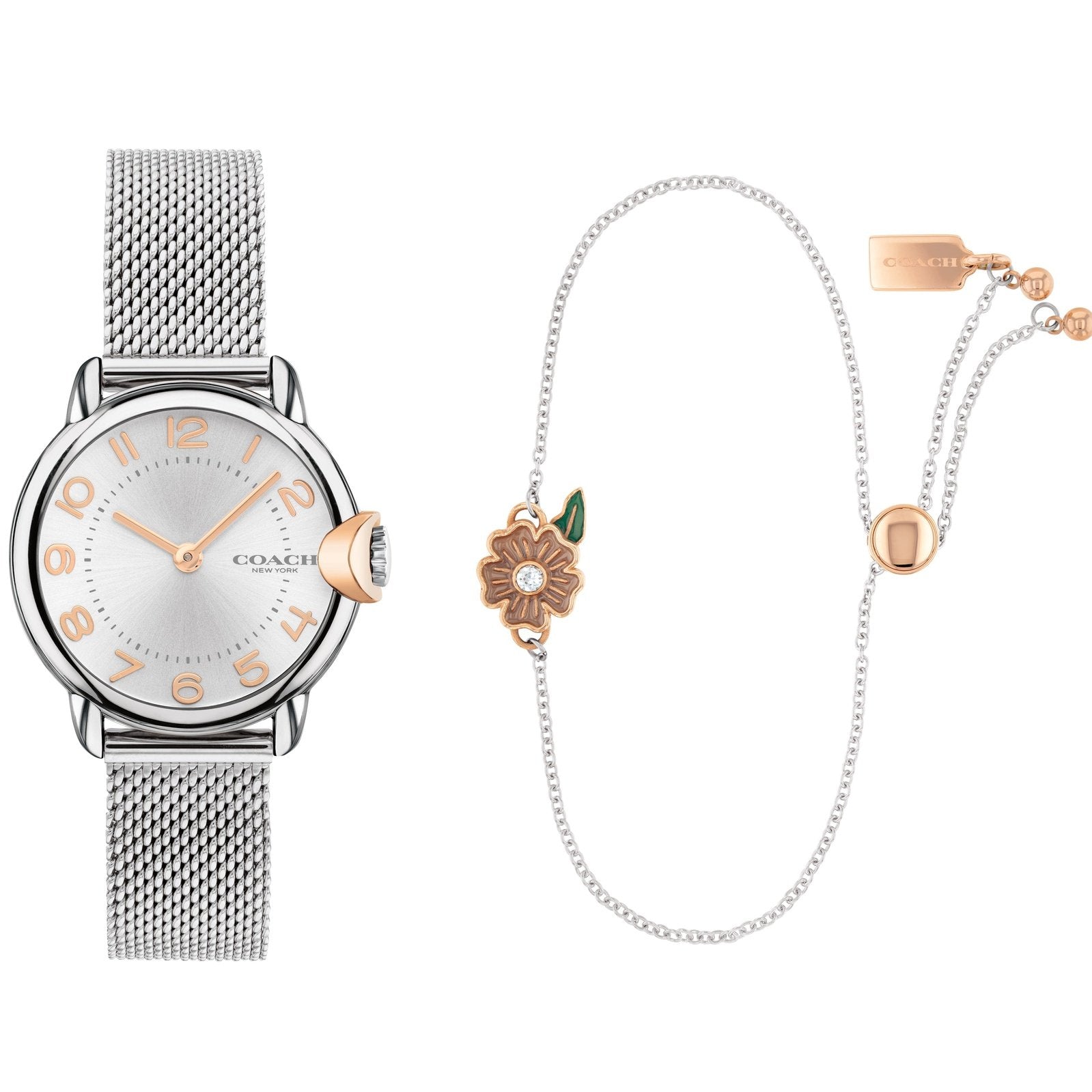 Ladies Arden Set - 28mm Dial 14000073 Coach
