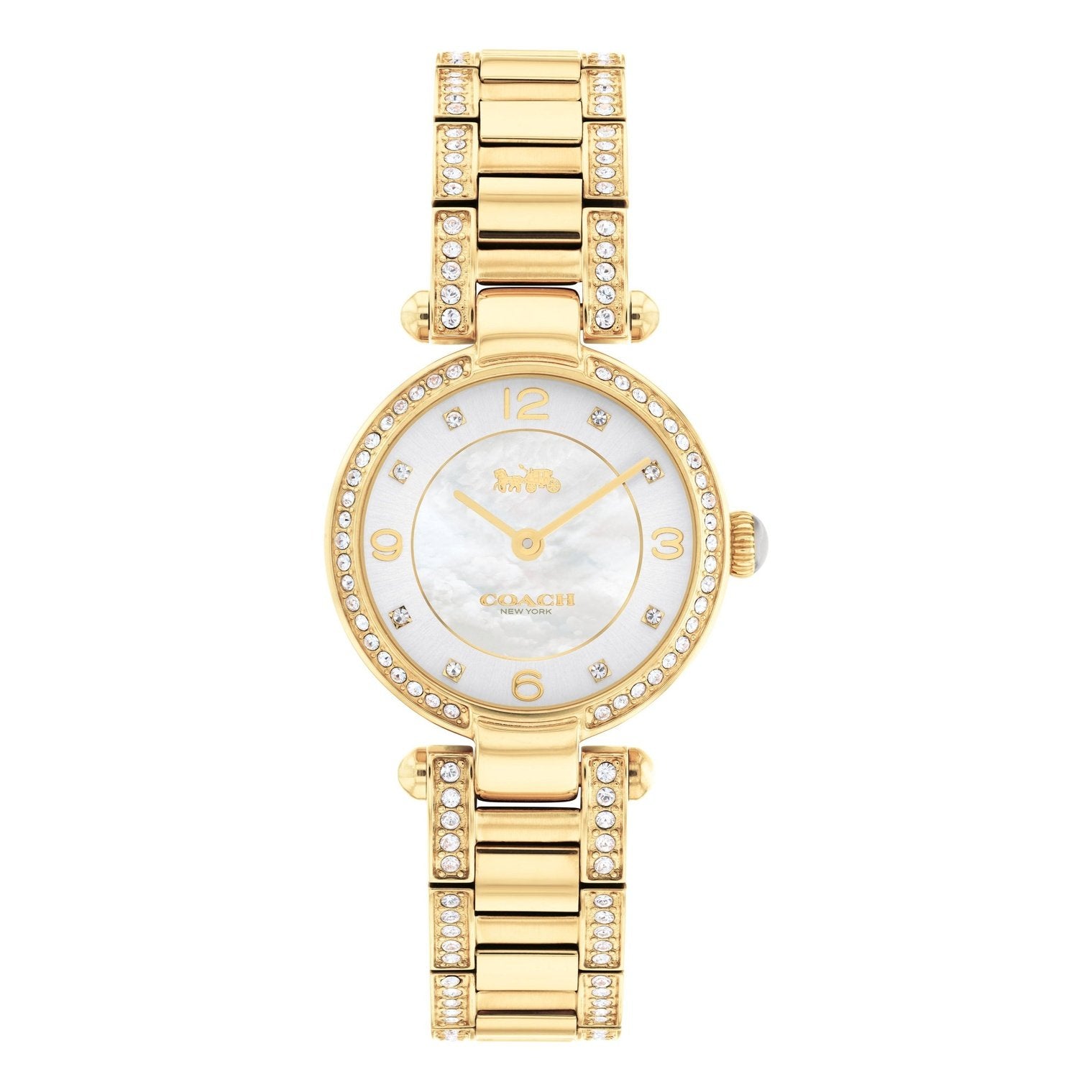 Ladies Cary Watch 14503839 Coach