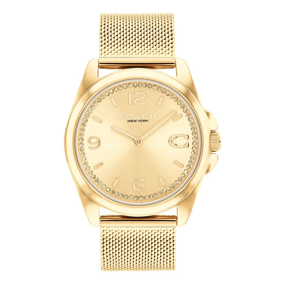 Ladies Greyson Watch 14504144 Coach