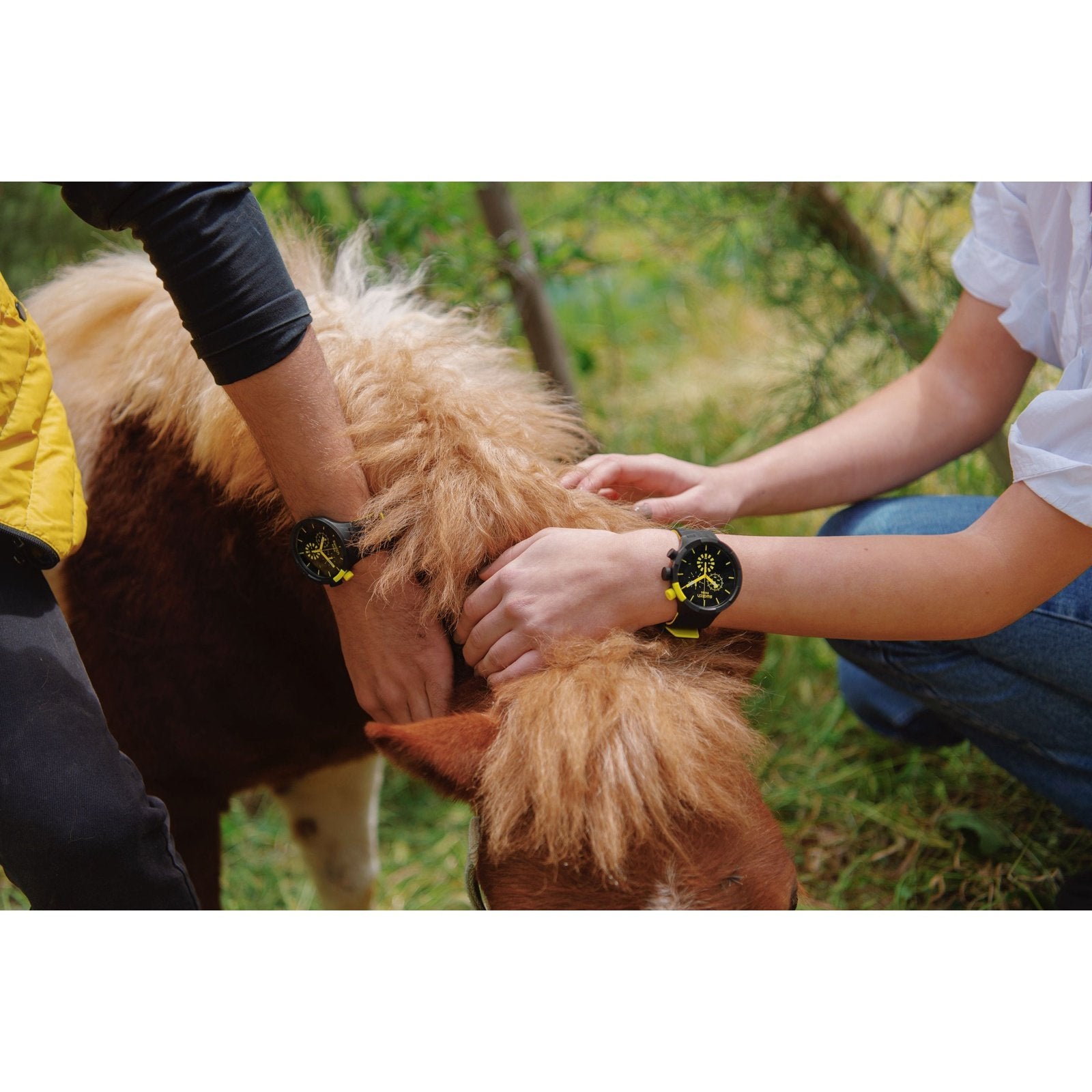 BIG BOLD CHECKPOINT YELLOW Swatch