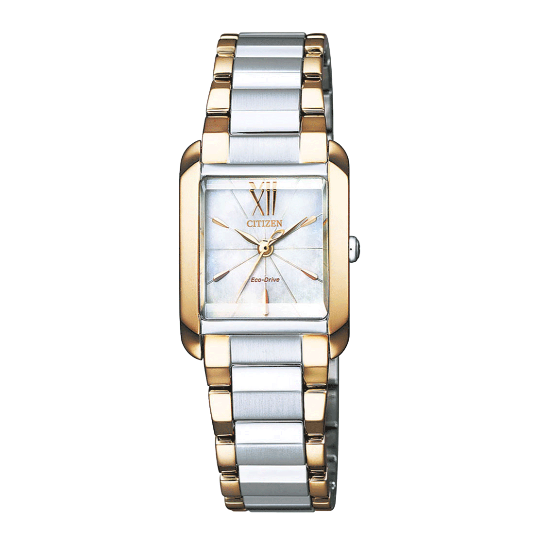Ladies Luxury Watch EW5556-87D Citizen