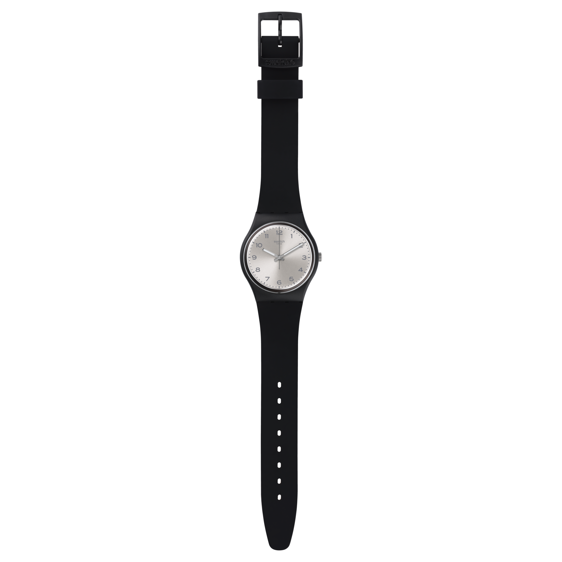 SILVER FRIEND TOO Swatch