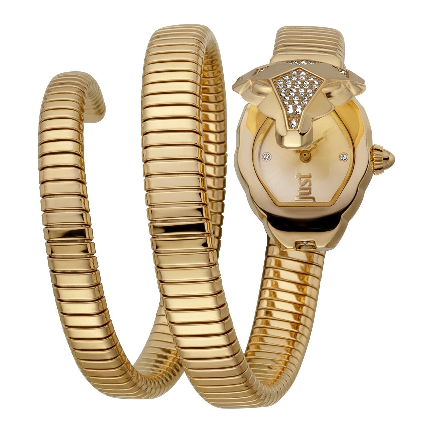 Ladies Nascosto Watch JC1L073M0025 Just Cavalli