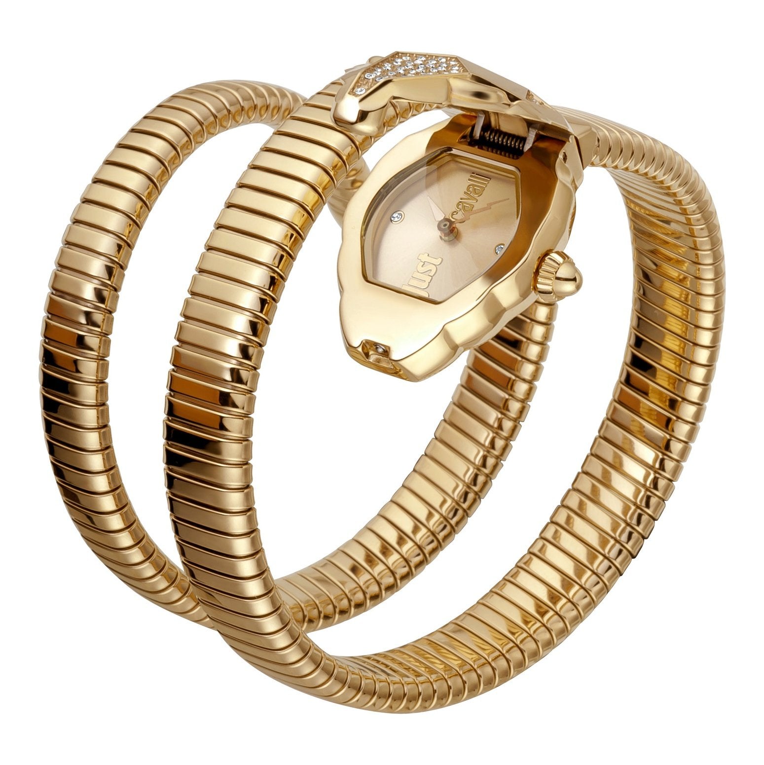 Ladies Nascosto Watch JC1L073M0025 Just Cavalli