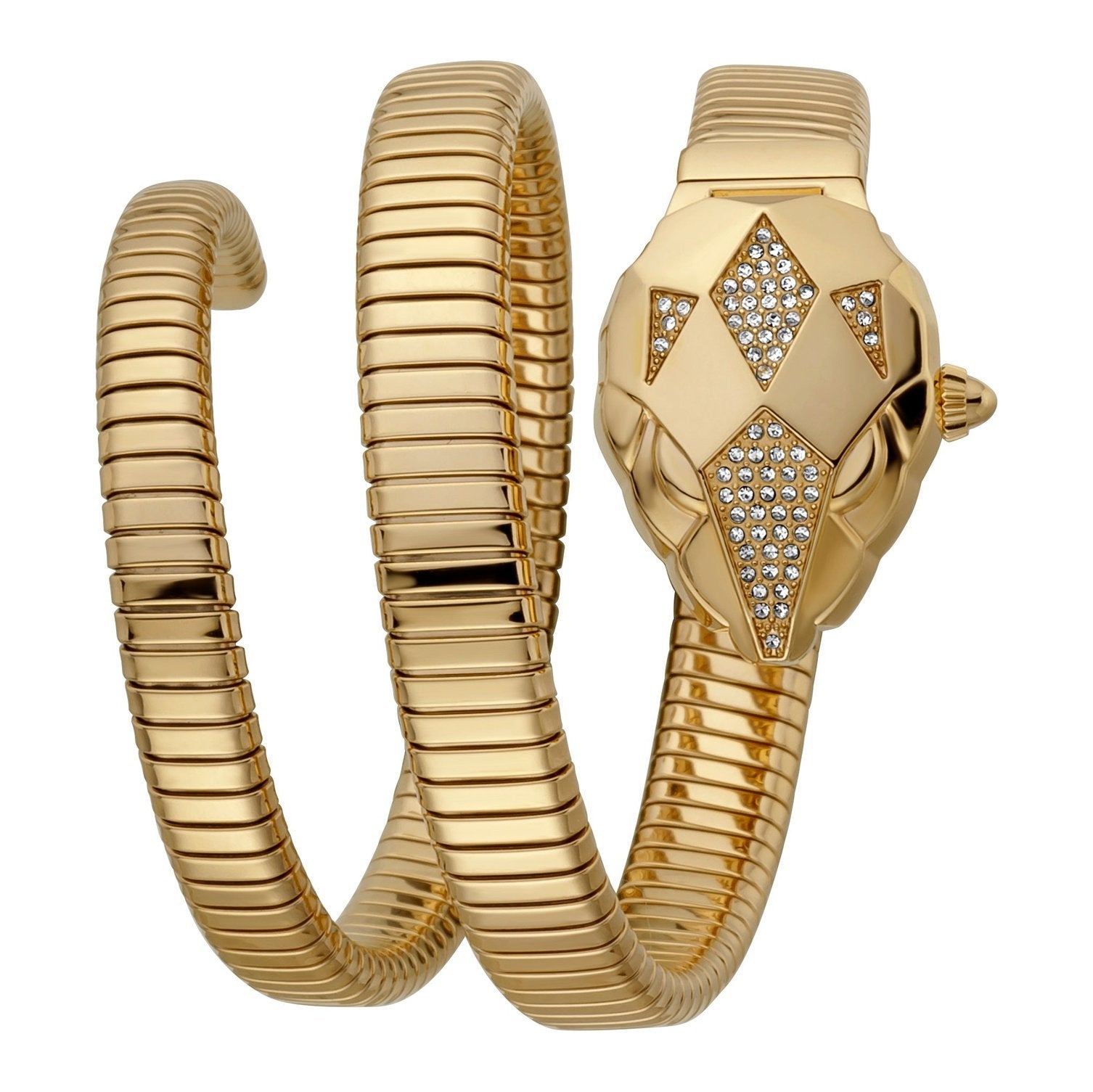 Ladies Nascosto Watch JC1L073M0025 Just Cavalli