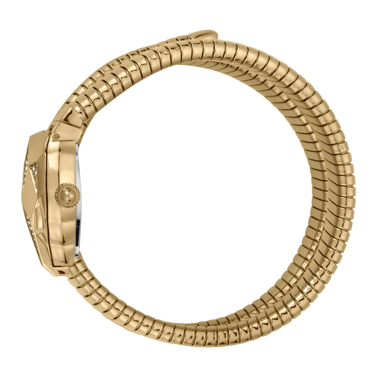 Ladies Nascosto Watch JC1L073M0025 Just Cavalli