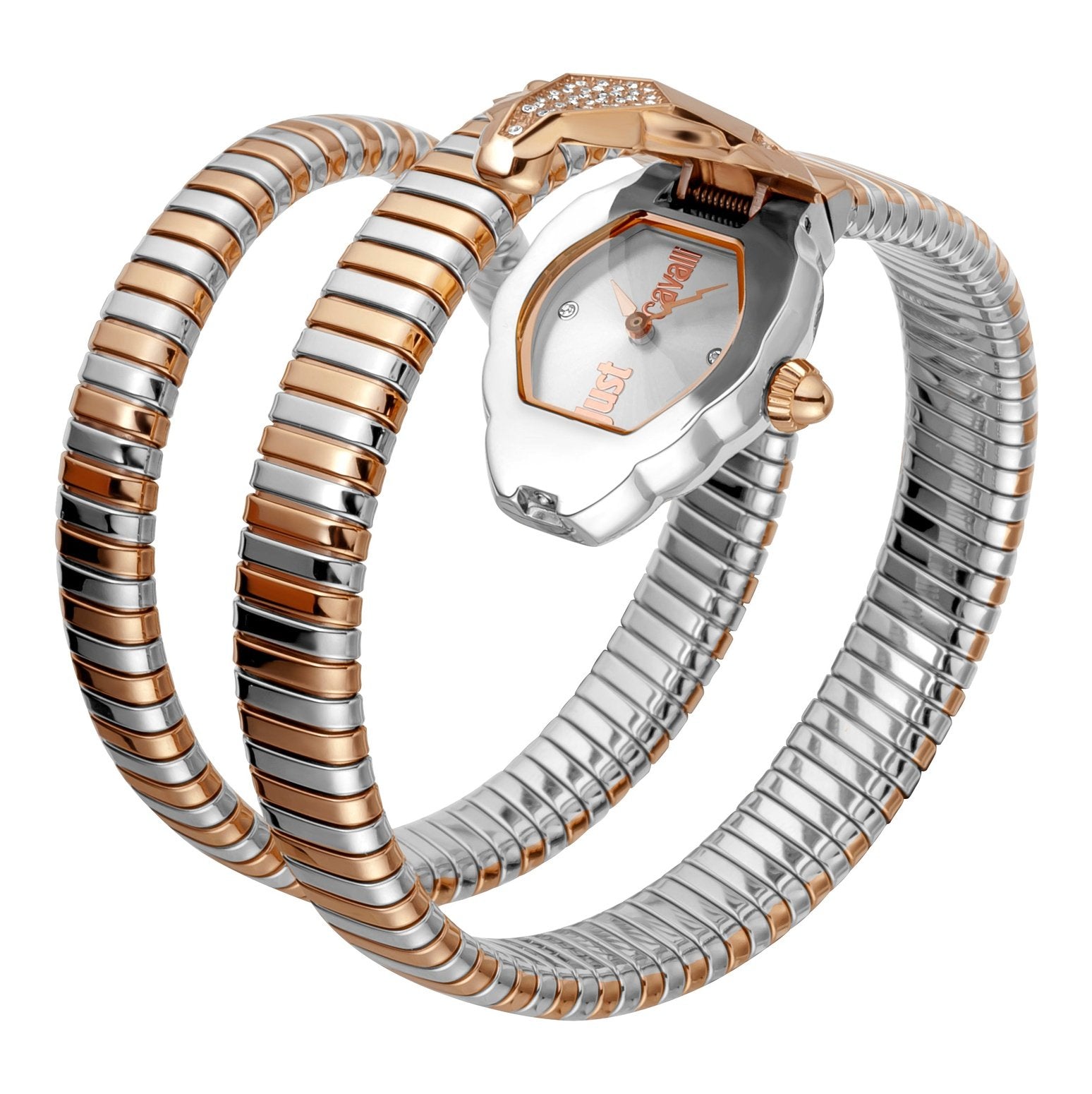 Ladies Nascosto Watch JC1L073M0055 Just Cavalli