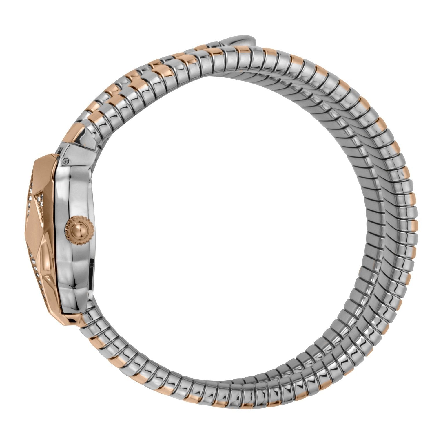 Ladies Nascosto Watch JC1L073M0055 Just Cavalli
