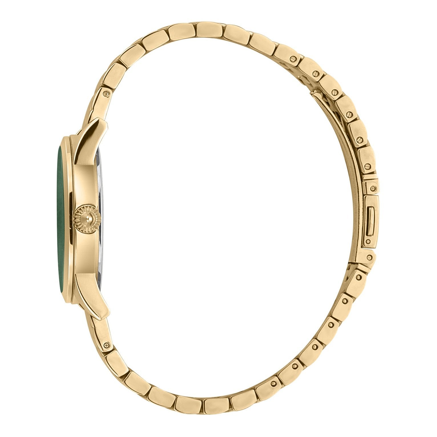 Ladies Donna Affascinante Watch JC1L087M0265 Just Cavalli