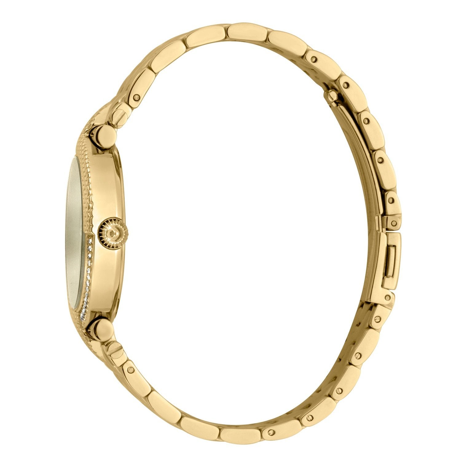 Ladies Animalier Watch JC1L105M0075 Just Cavalli