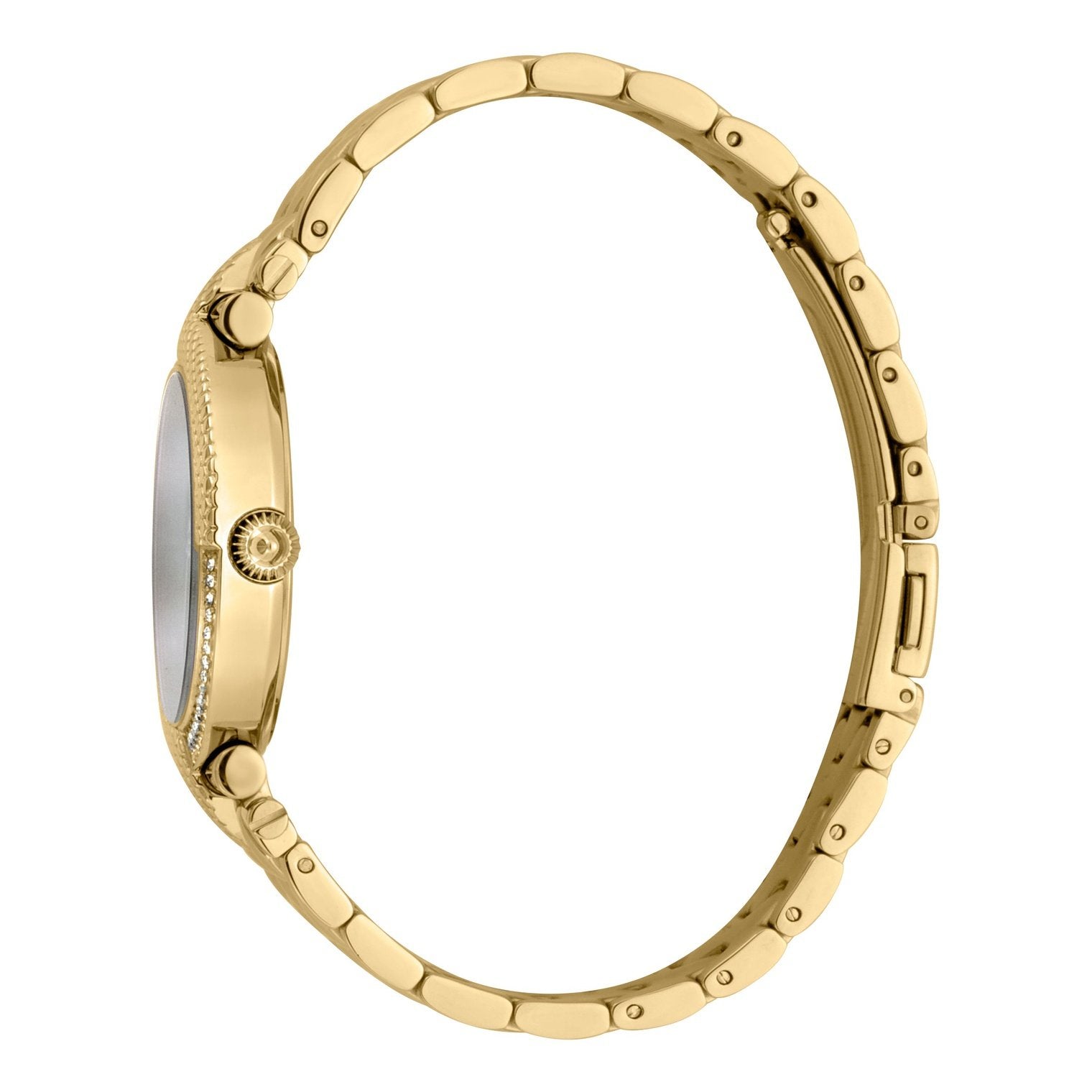 Ladies Animalier Watch JC1L105M0085 Just Cavalli