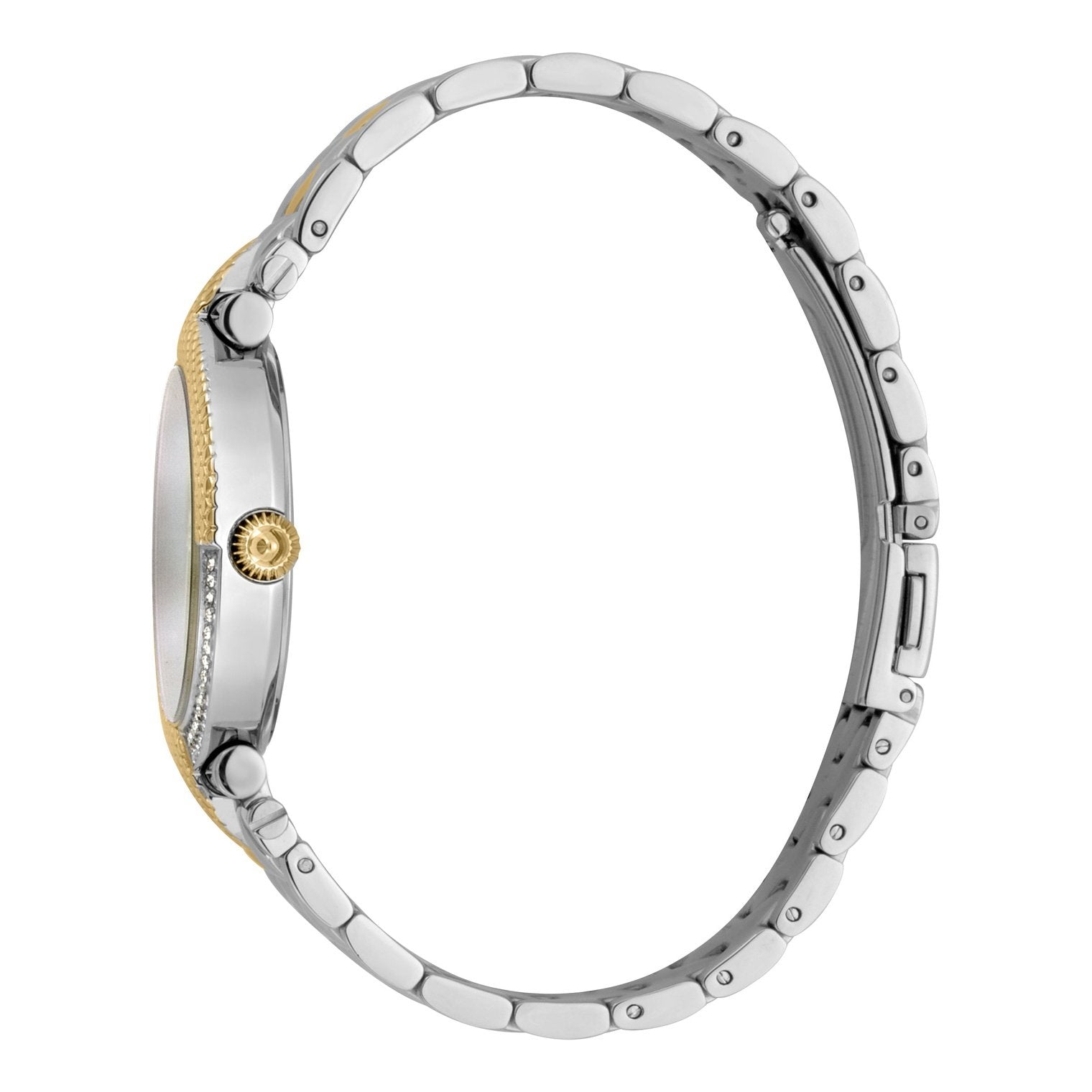 Ladies Animalier Watch JC1L105M0105 Just Cavalli