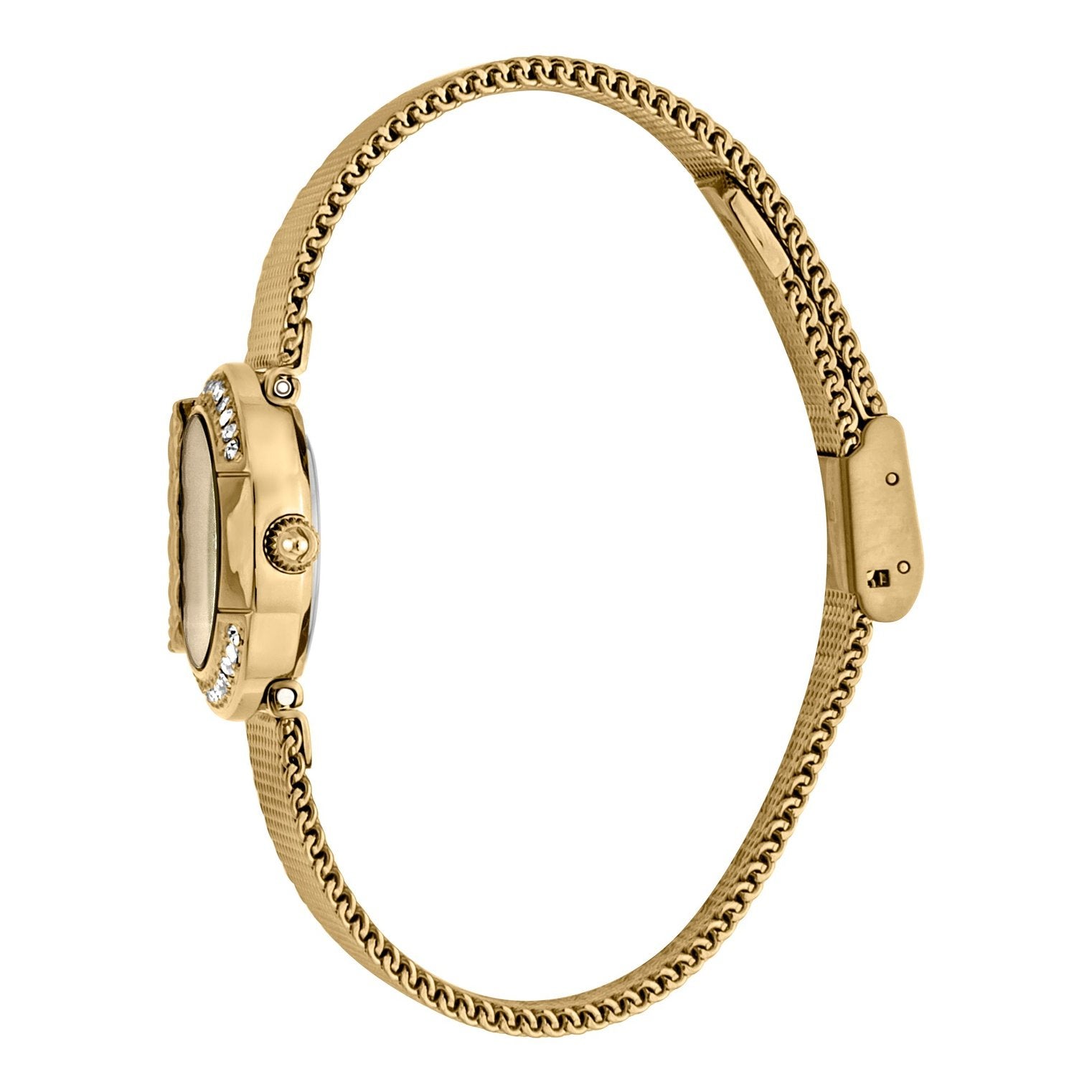 Ladies CbyJC_2 Watch JC1L110M0085 Just Cavalli