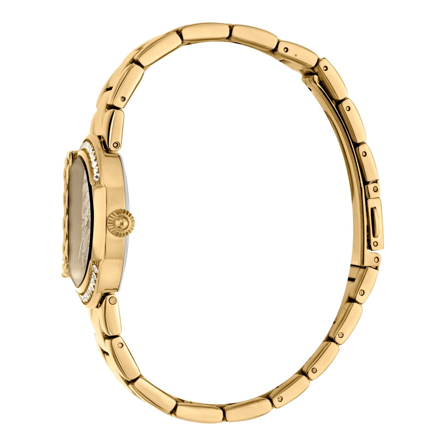 Ladies CbyJC_XL Watch JC1L111M0085 Just Cavalli