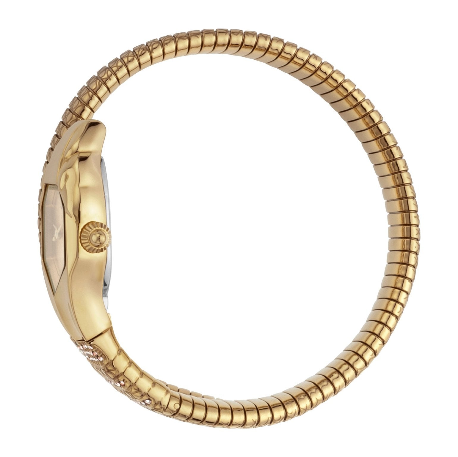 Ladies Just Glam EVO 1 Watch JC1L113M0025 Just Cavalli