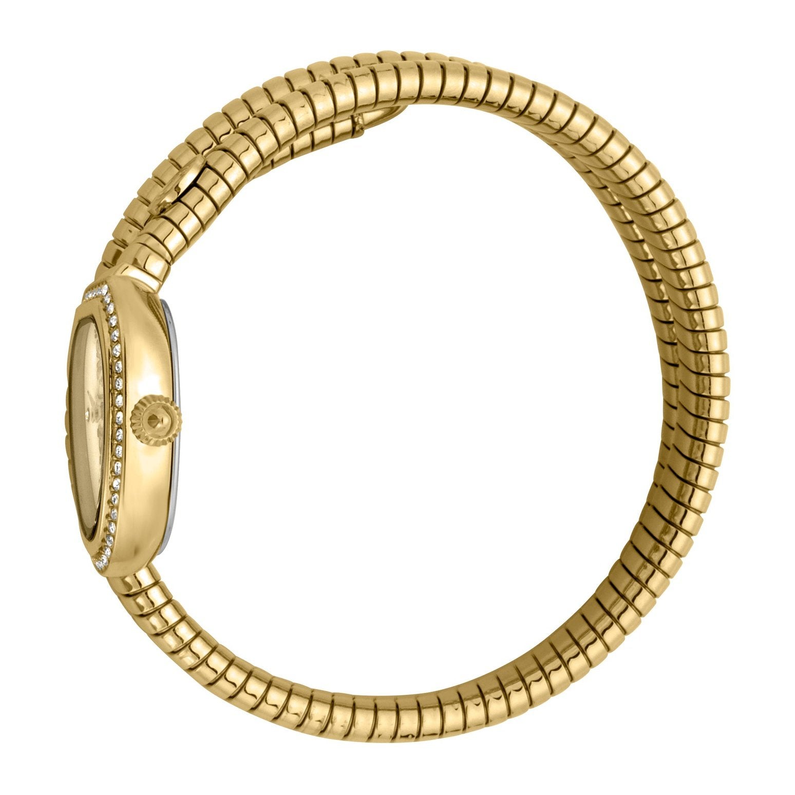 Ladies Snake Glam Chic Watch JC1L120M0025 Just Cavalli