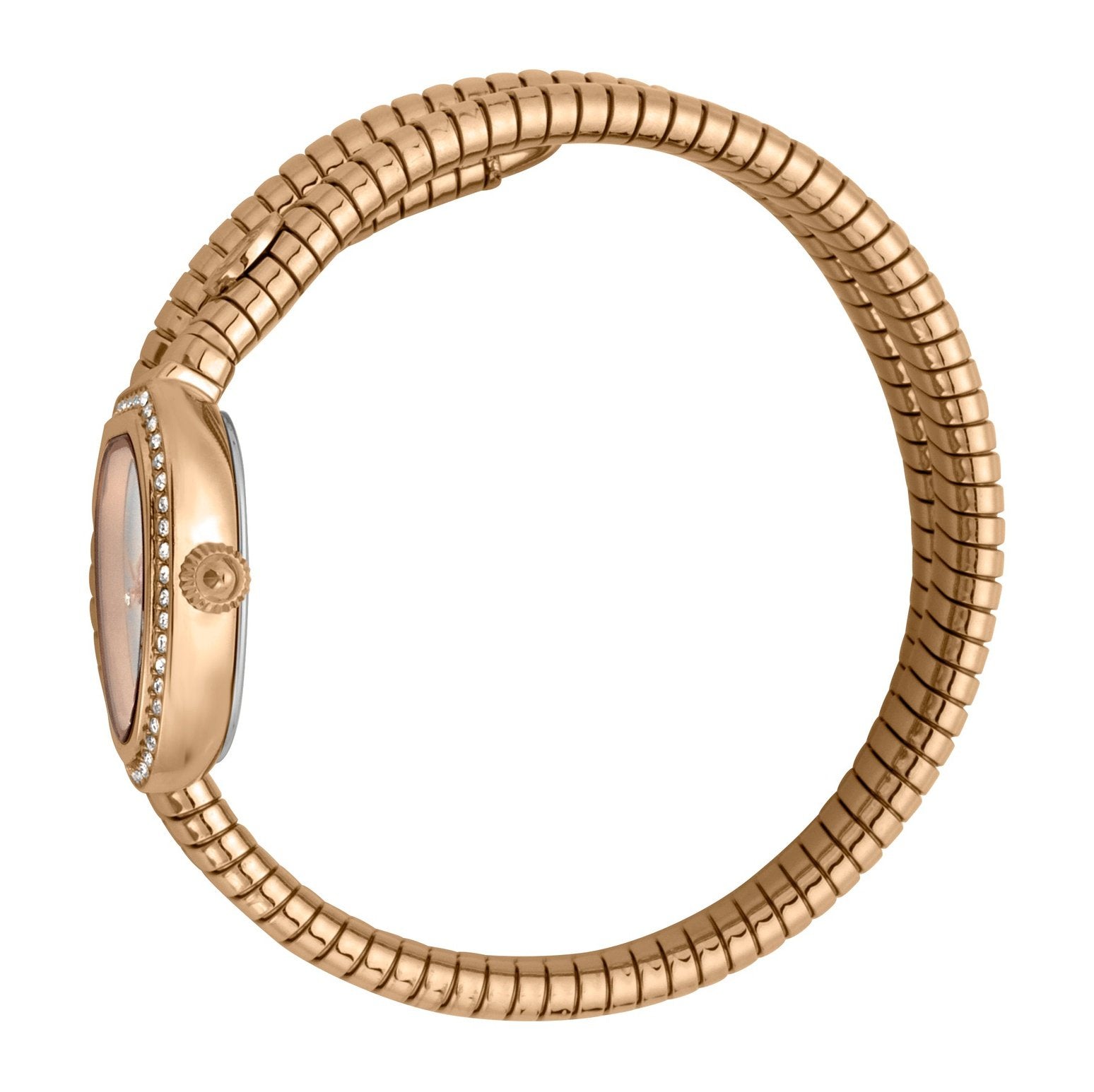 Ladies Snake Glam Chic Watch JC1L120M0045 Just Cavalli