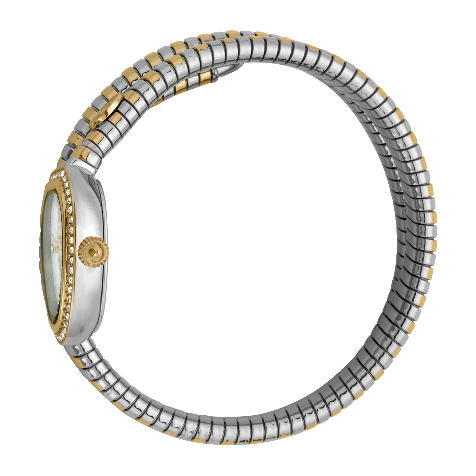 Ladies Snake Glam Chic Watch JC1L120M0055 Just Cavalli
