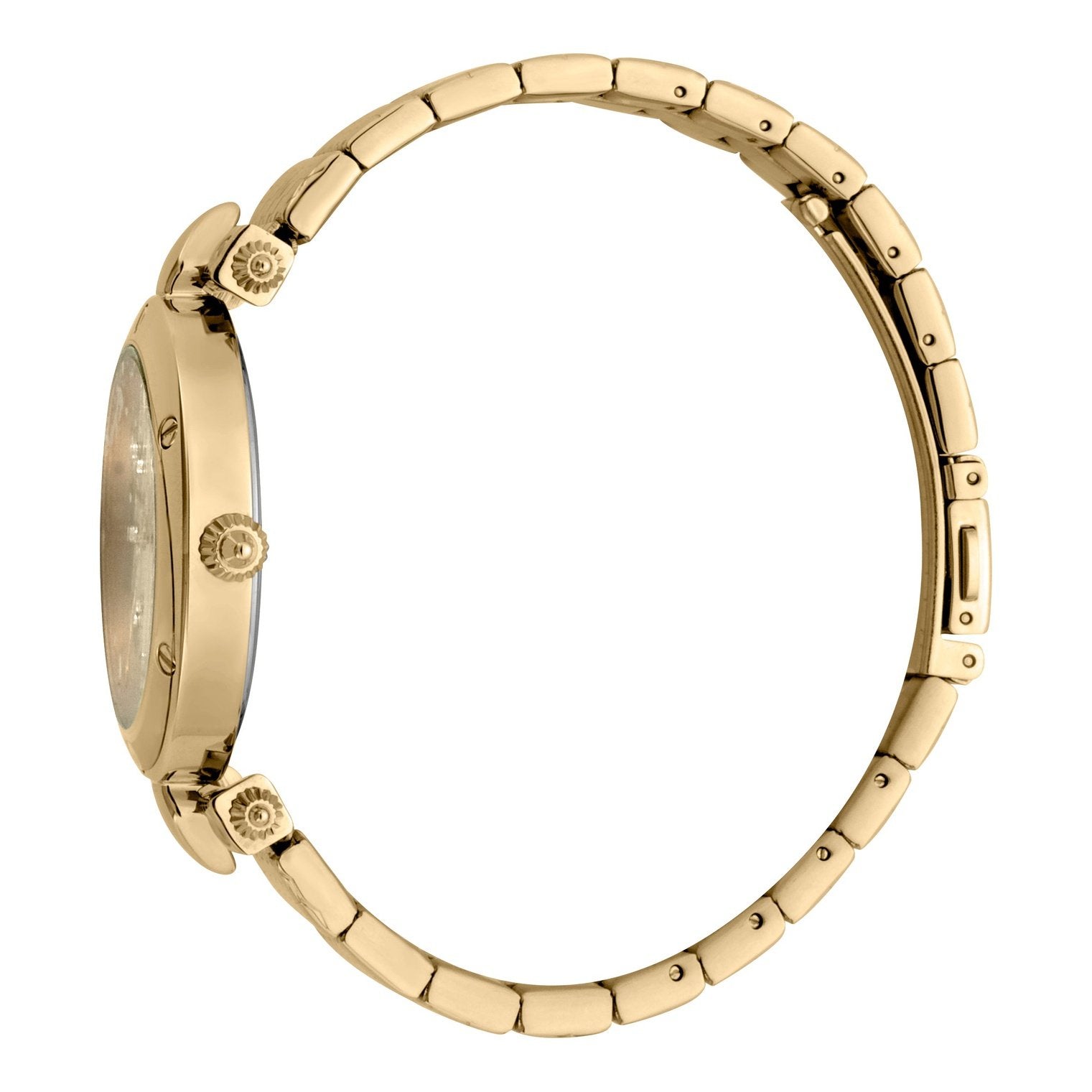 Ladies Logo Watch JC1L122M0065 Just Cavalli