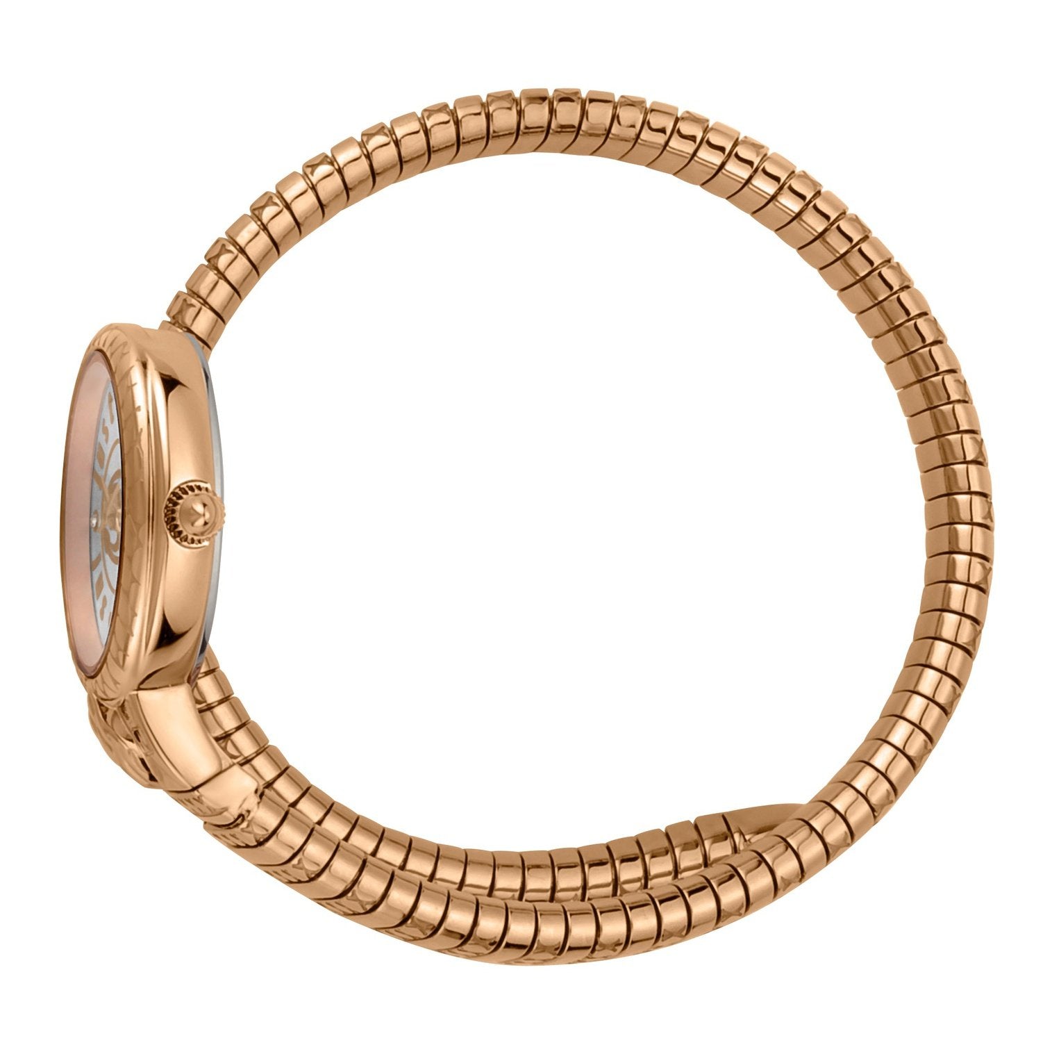 Ladies Delicatezza Watch JC1L152M0045 Just Cavalli