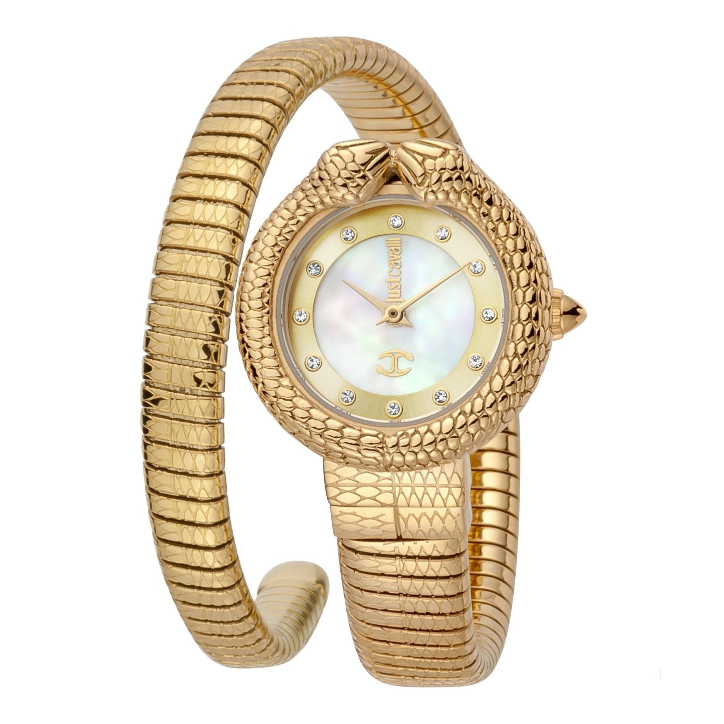 Ladies Dolce Glam Watch JC1L161M0025 Just Cavalli