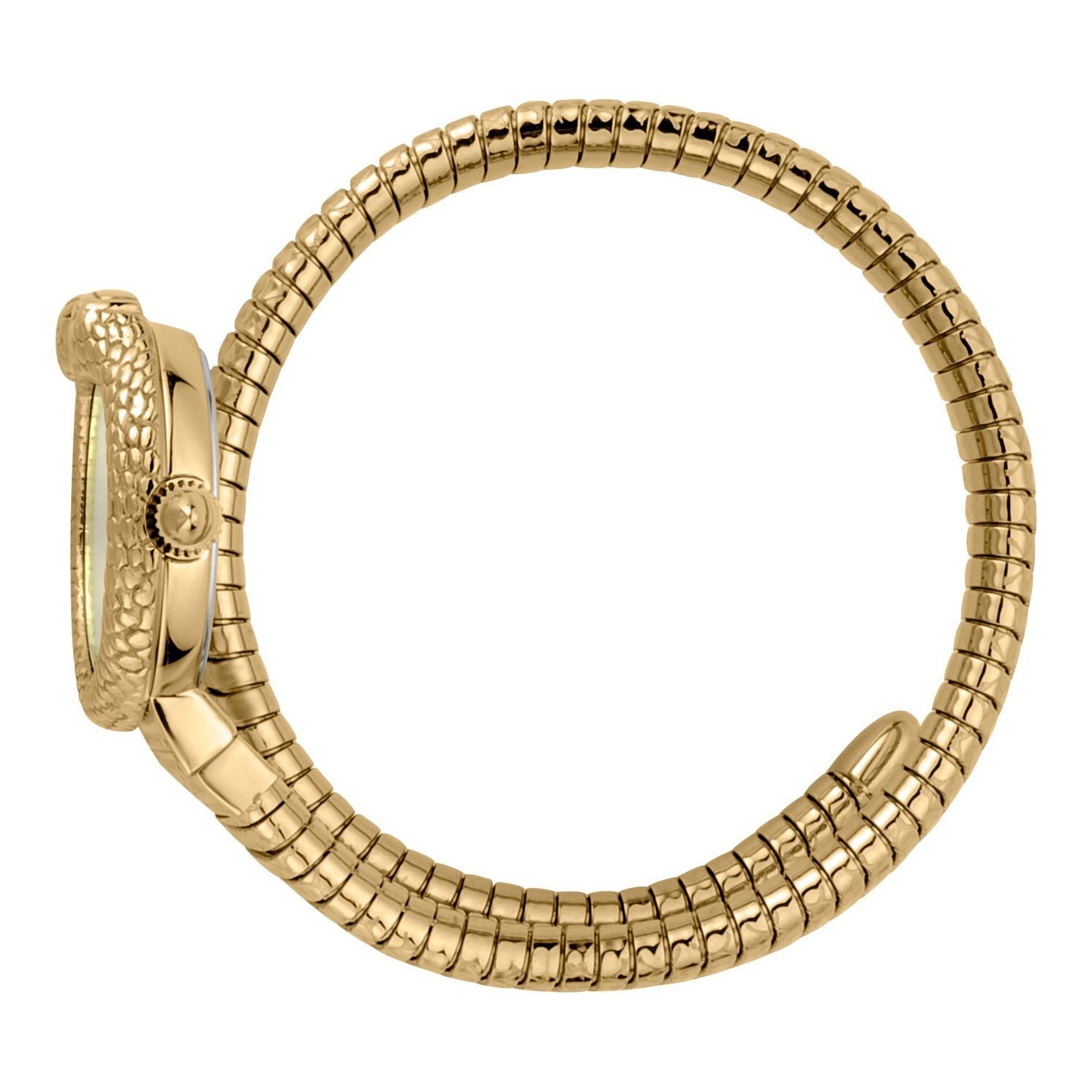 Ladies Dolce Glam Watch JC1L161M0025 Just Cavalli