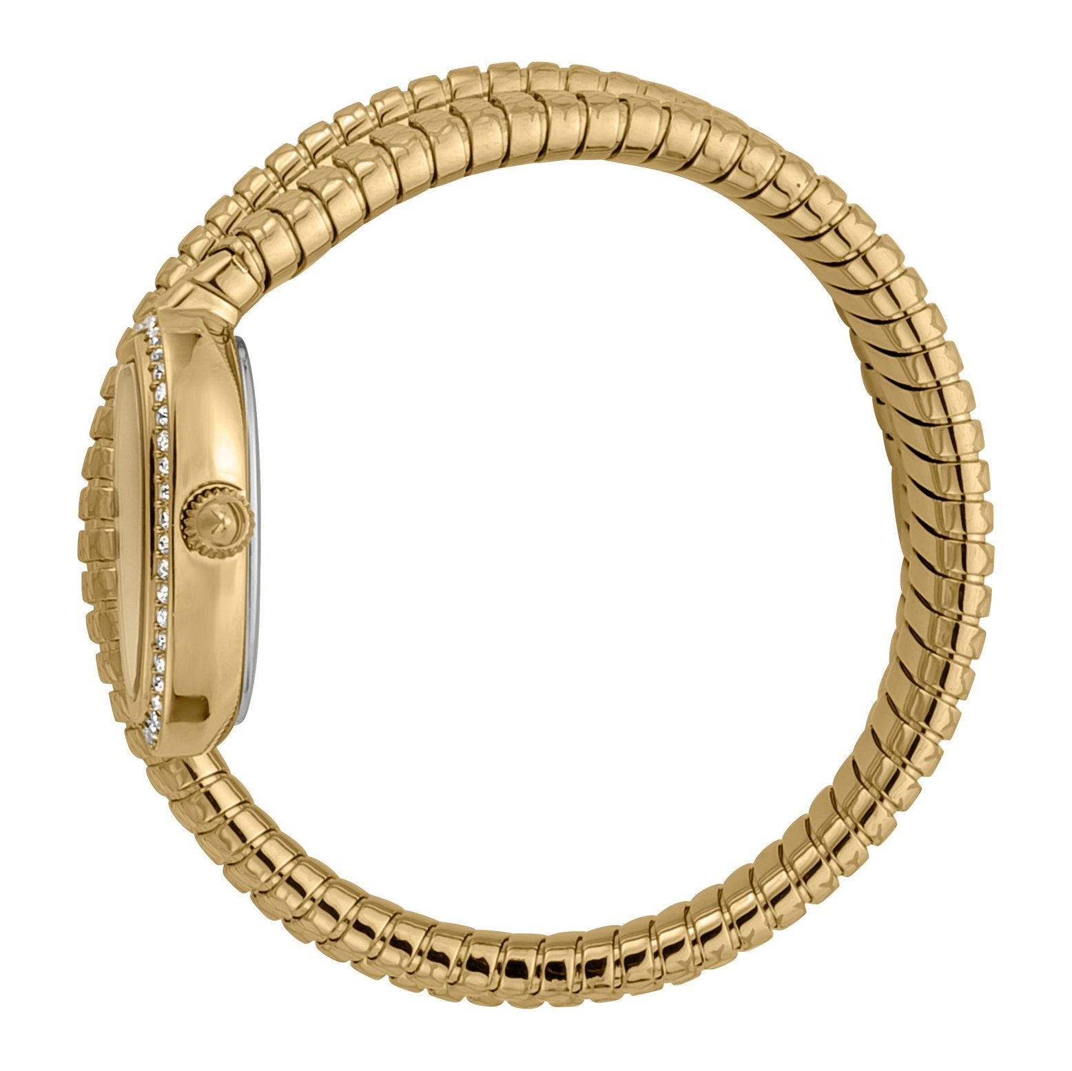 Ladies Jc Doppio Watch JC1L163M0025 Just Cavalli