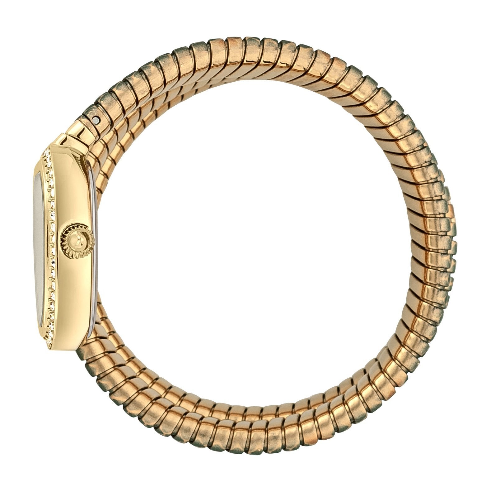 Ladies Serpente Reale Watch JC1L163M0235 Just Cavalli