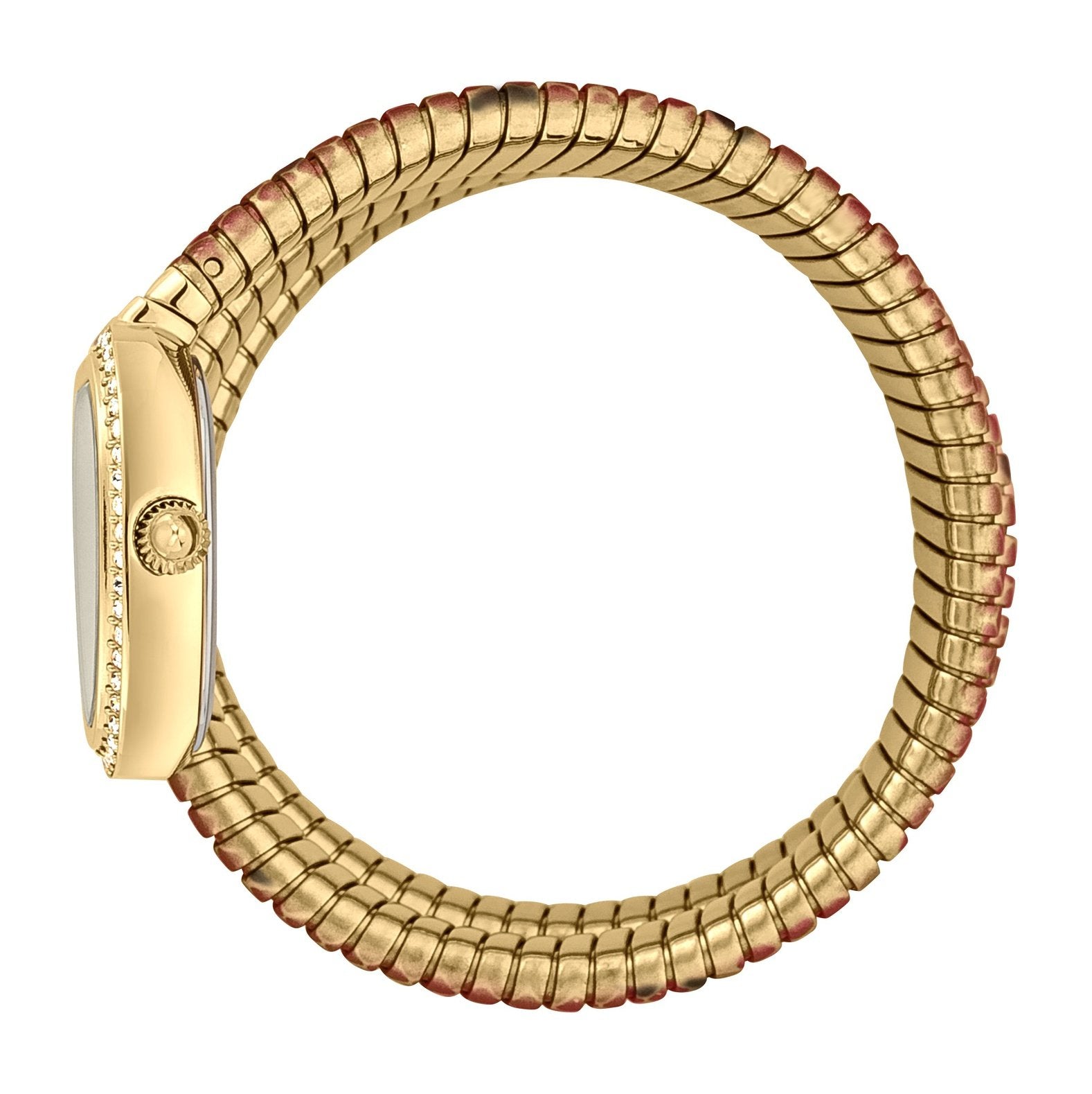 Ladies Serpente Reale Watch JC1L163M0245 Just Cavalli