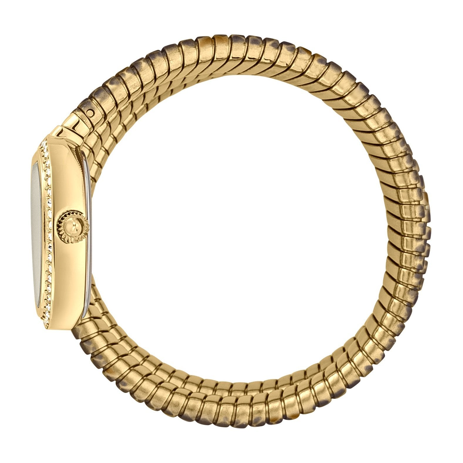 Ladies Serpente Reale Watch JC1L163M0255 Just Cavalli