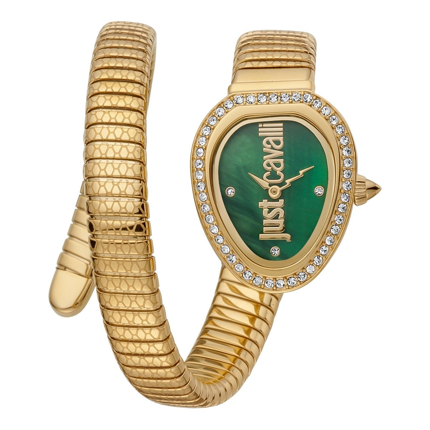 Ladies Jc Solo Watch JC1L167M0025 Just Cavalli