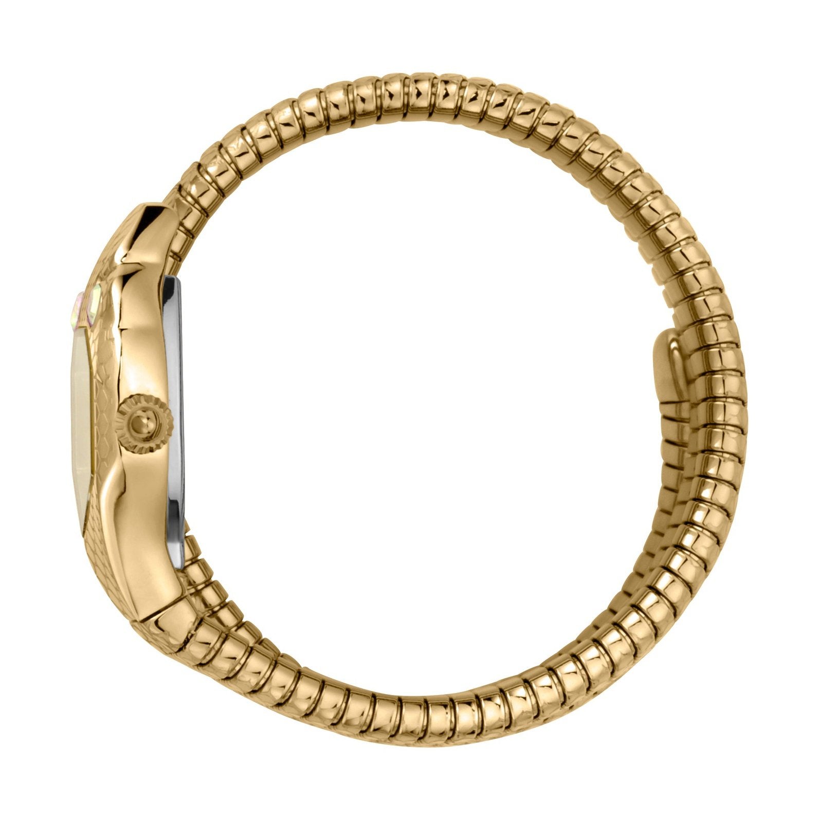 Ladies Serpente Doppio Watch JC1L168M0035 Just Cavalli